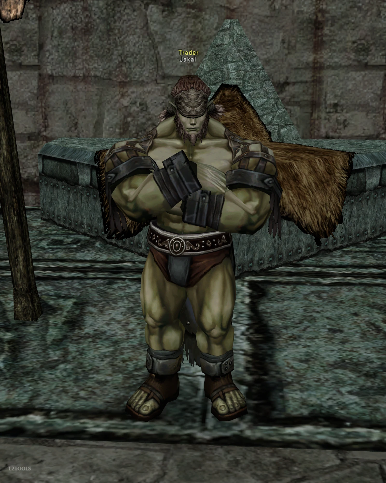 Jakal portrait