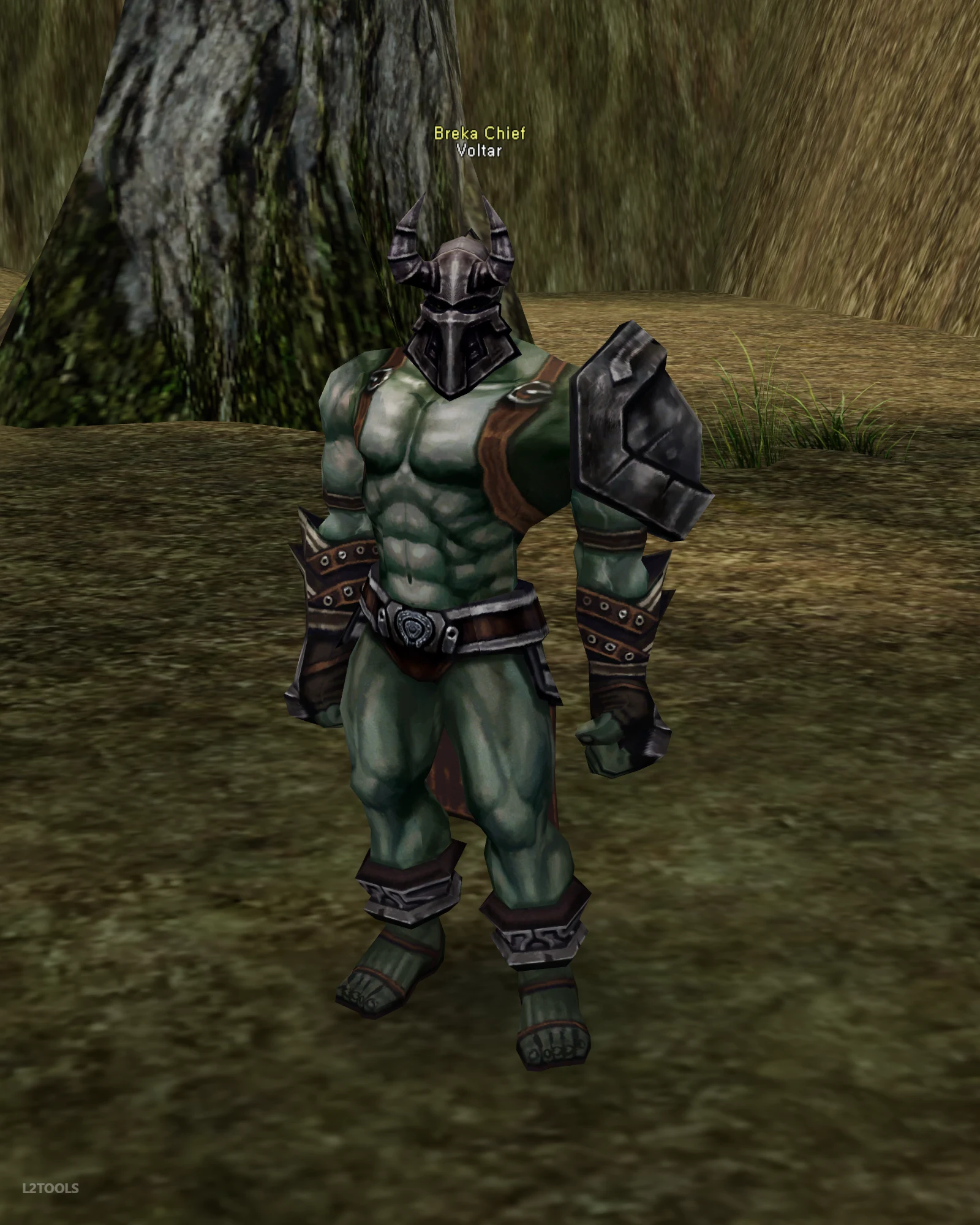 Voltar portrait
