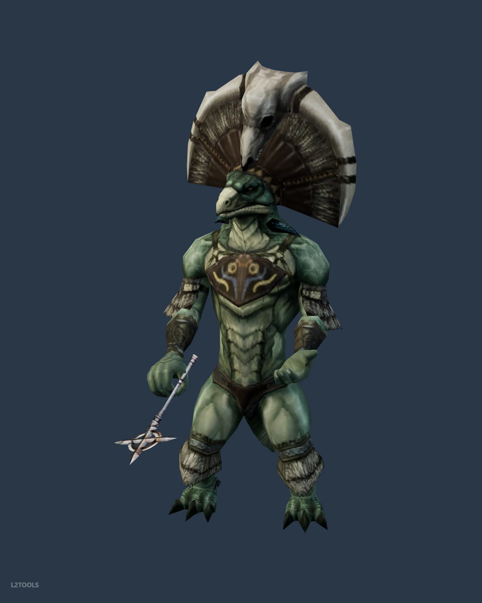Shaman of Plain portrait