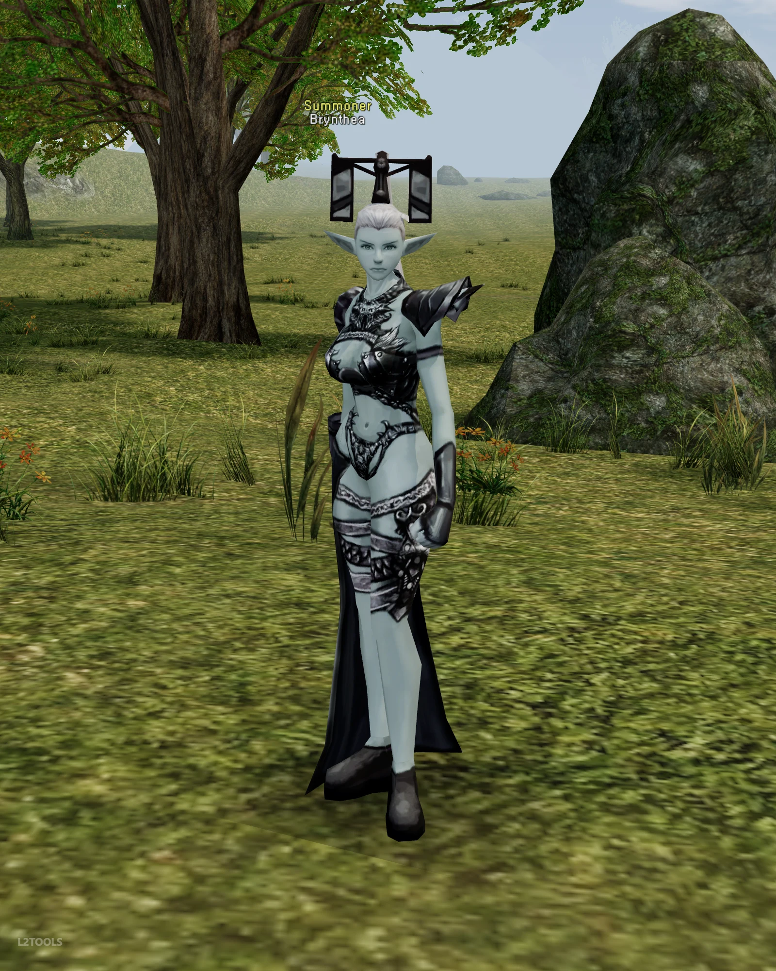 Brynthea portrait