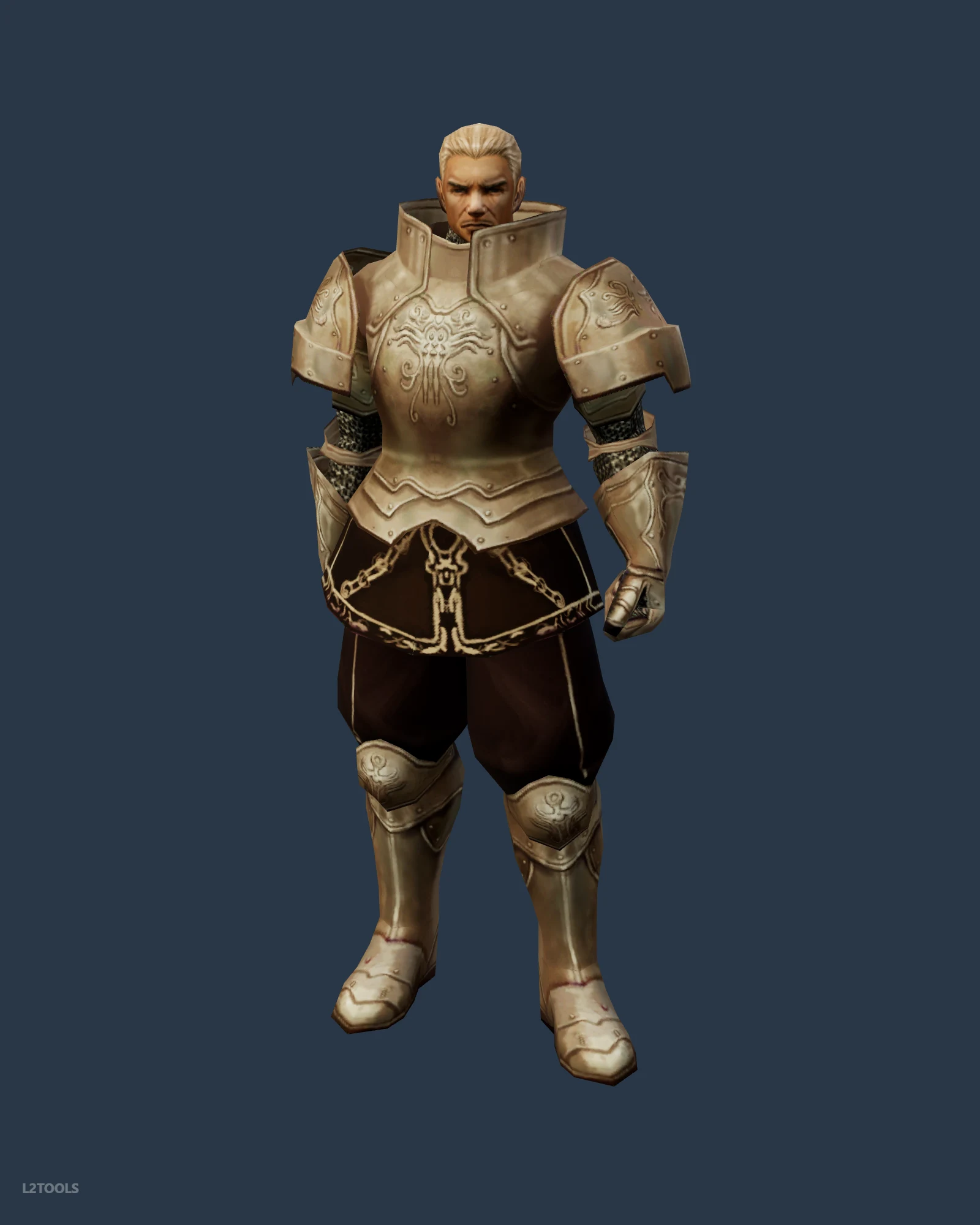 Spirit Of Sir Talianus portrait