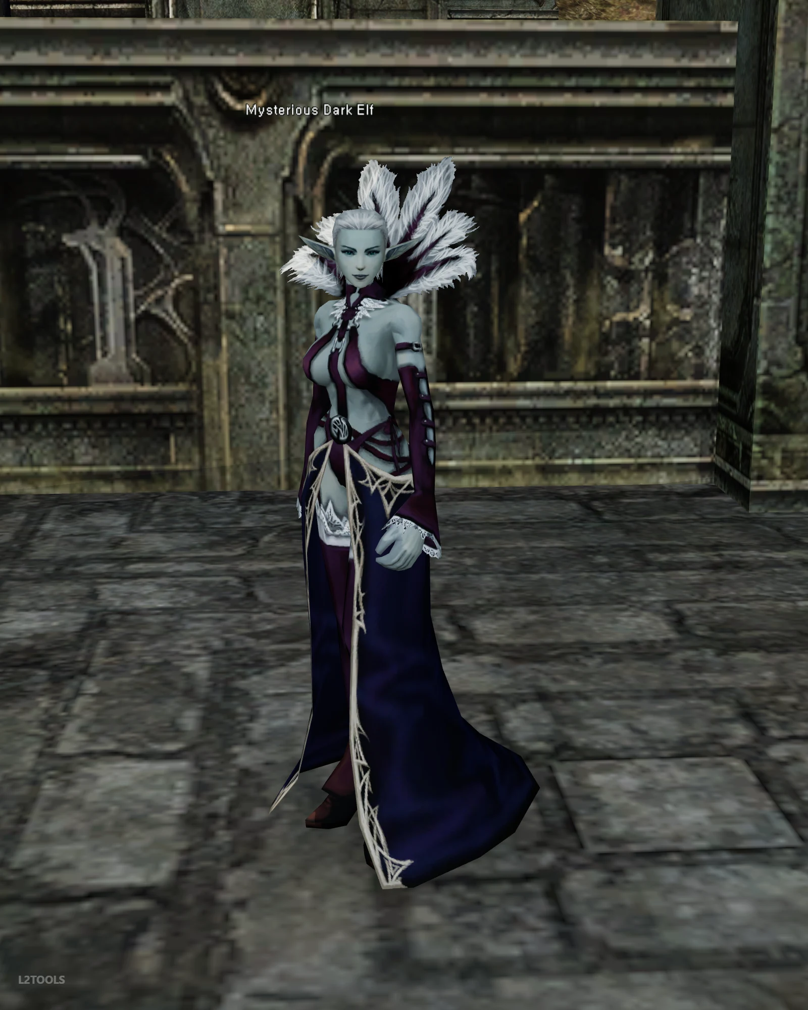 Mysterious Dark Elf portrait