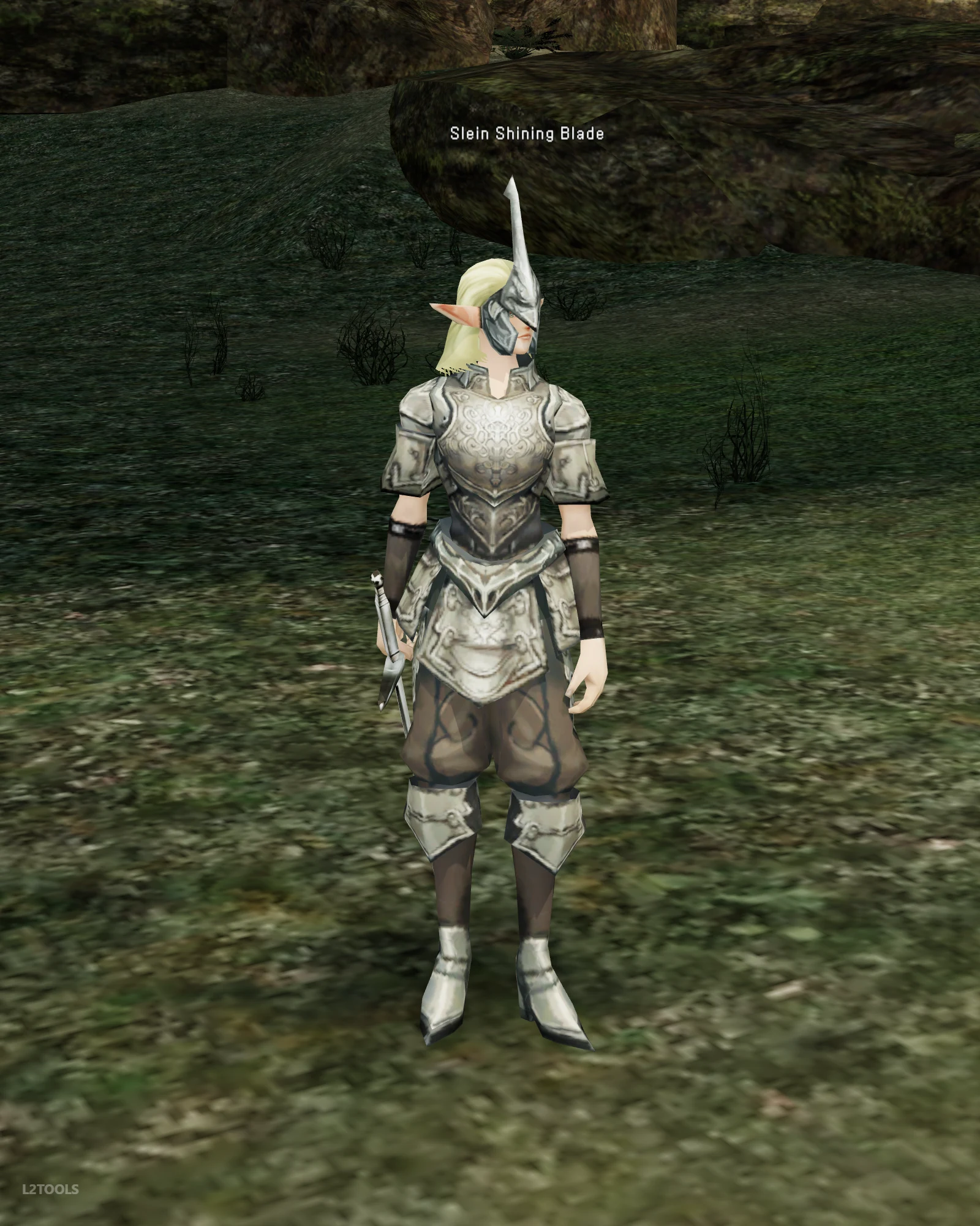Slein Shining Blade portrait