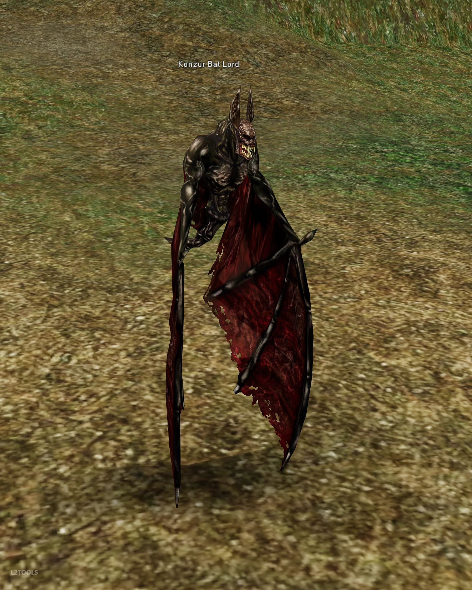 Konzur Bat Lord portrait