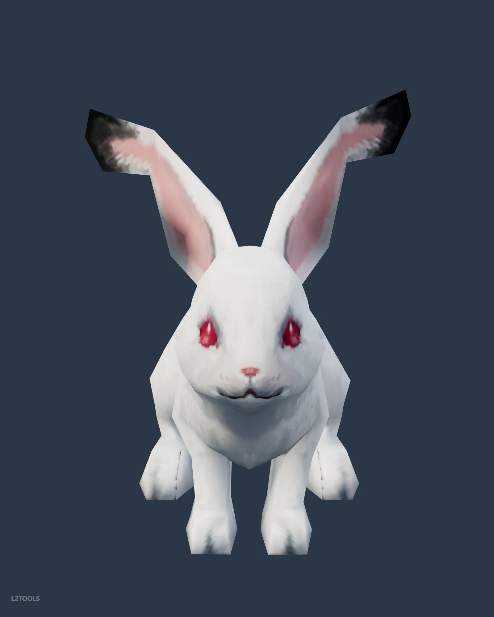 rabbit portrait