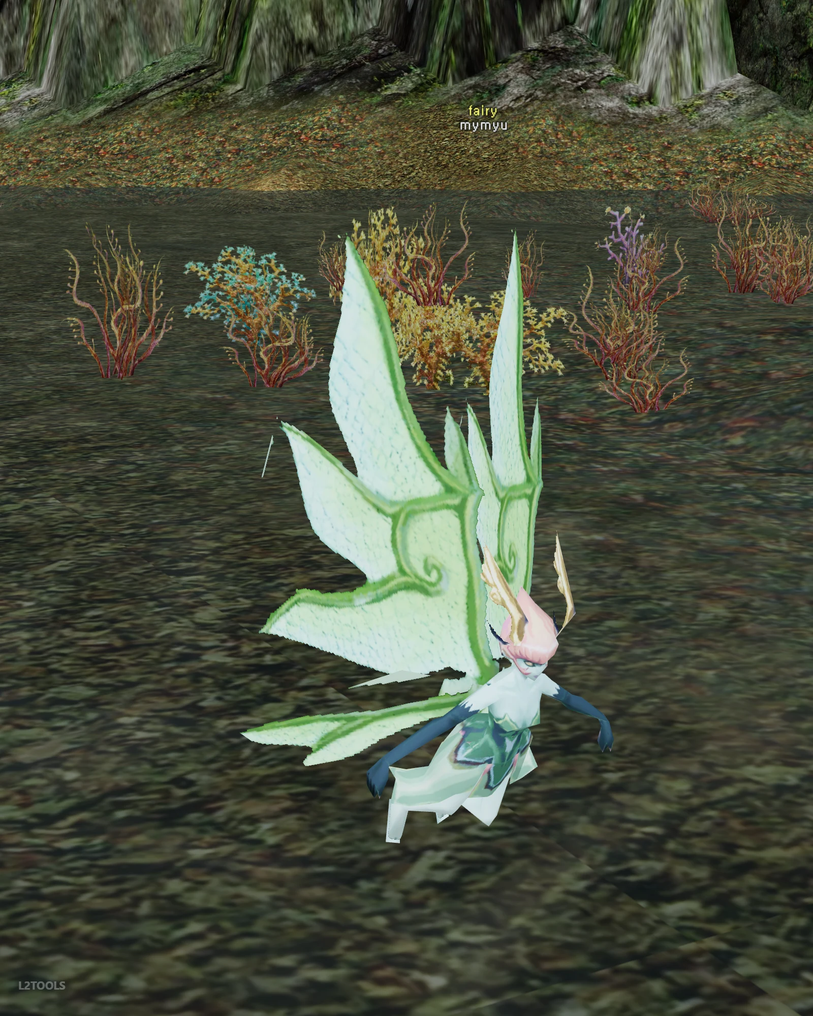 mymyu portrait