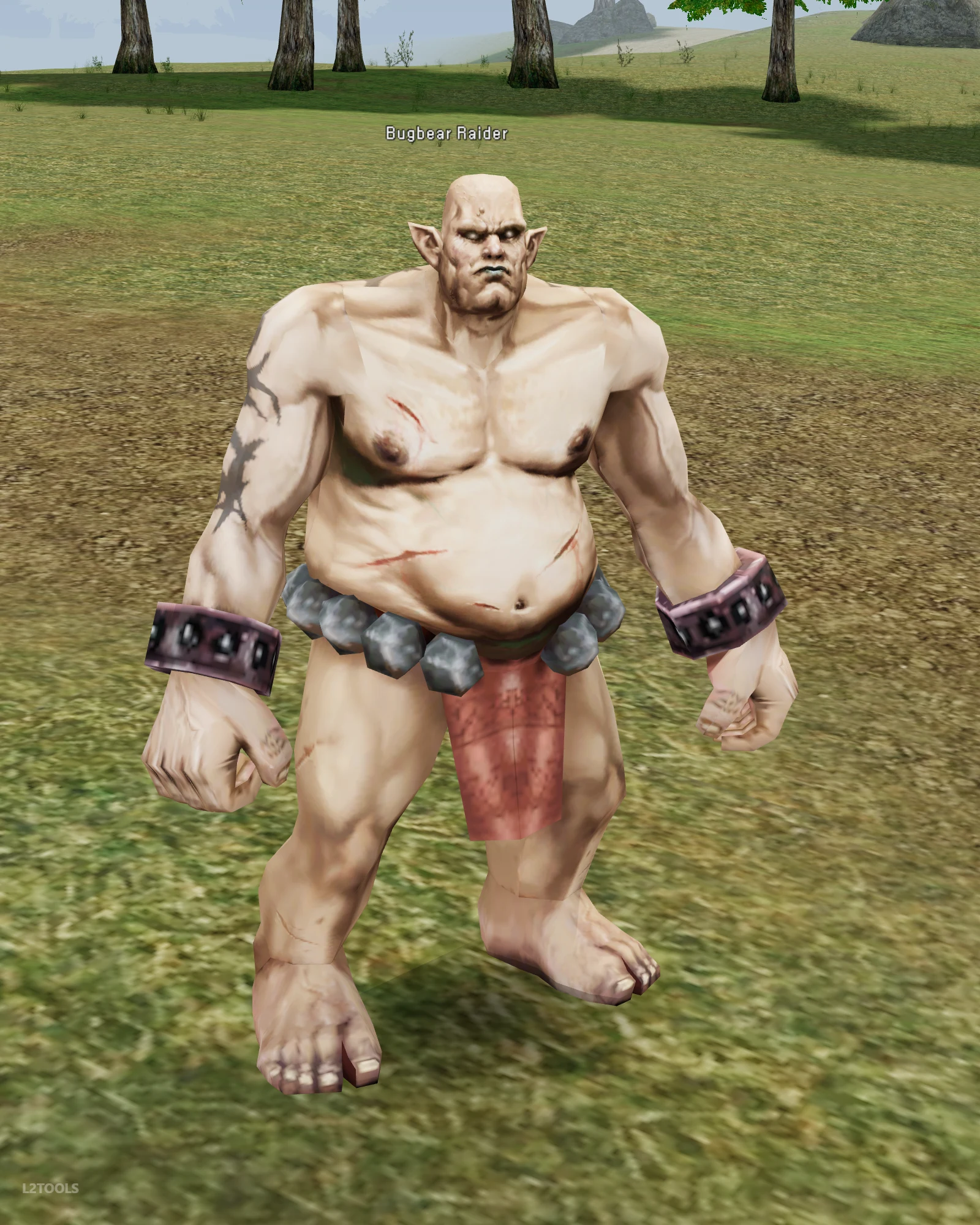 Bugbear Raider portrait