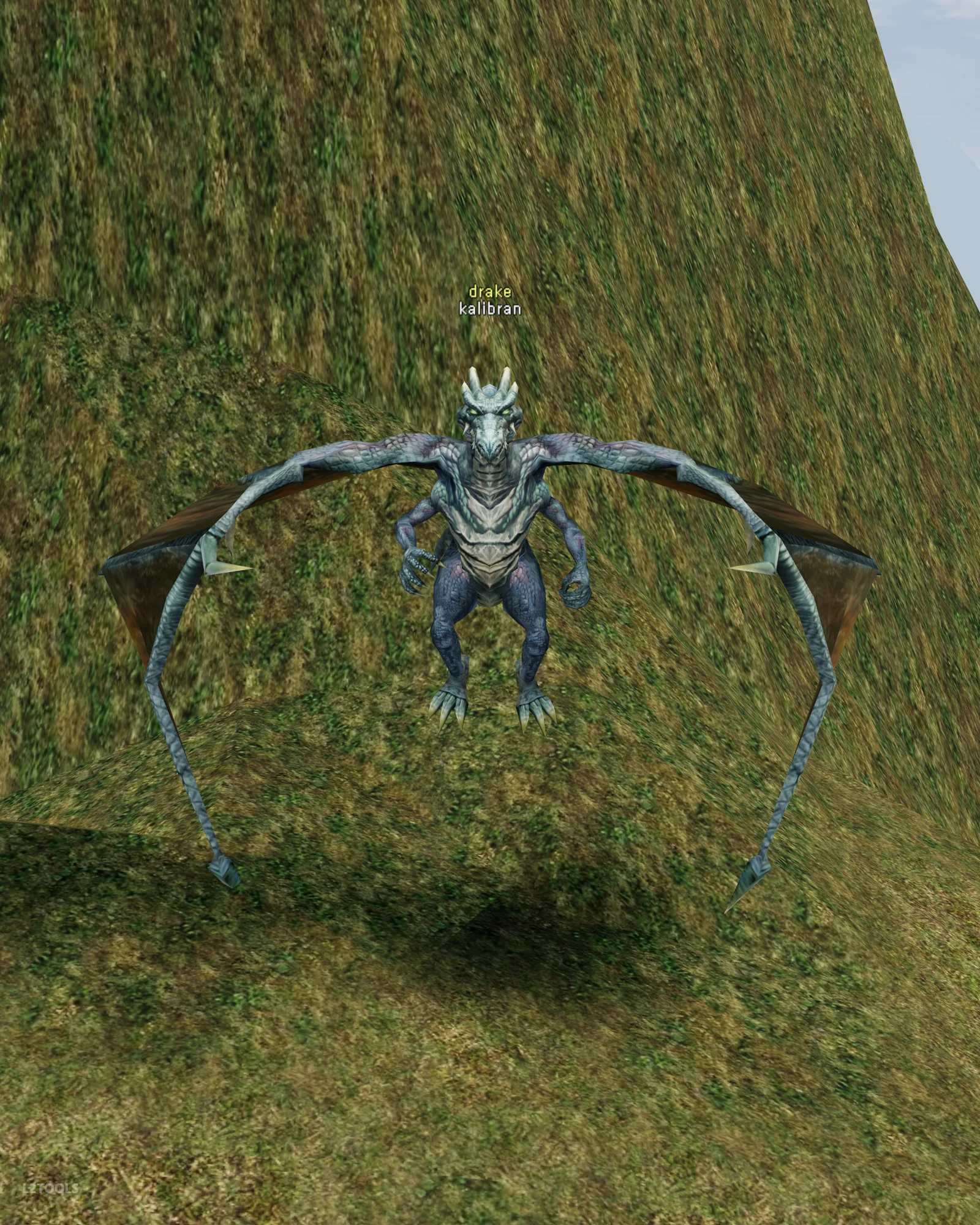 kalibran portrait