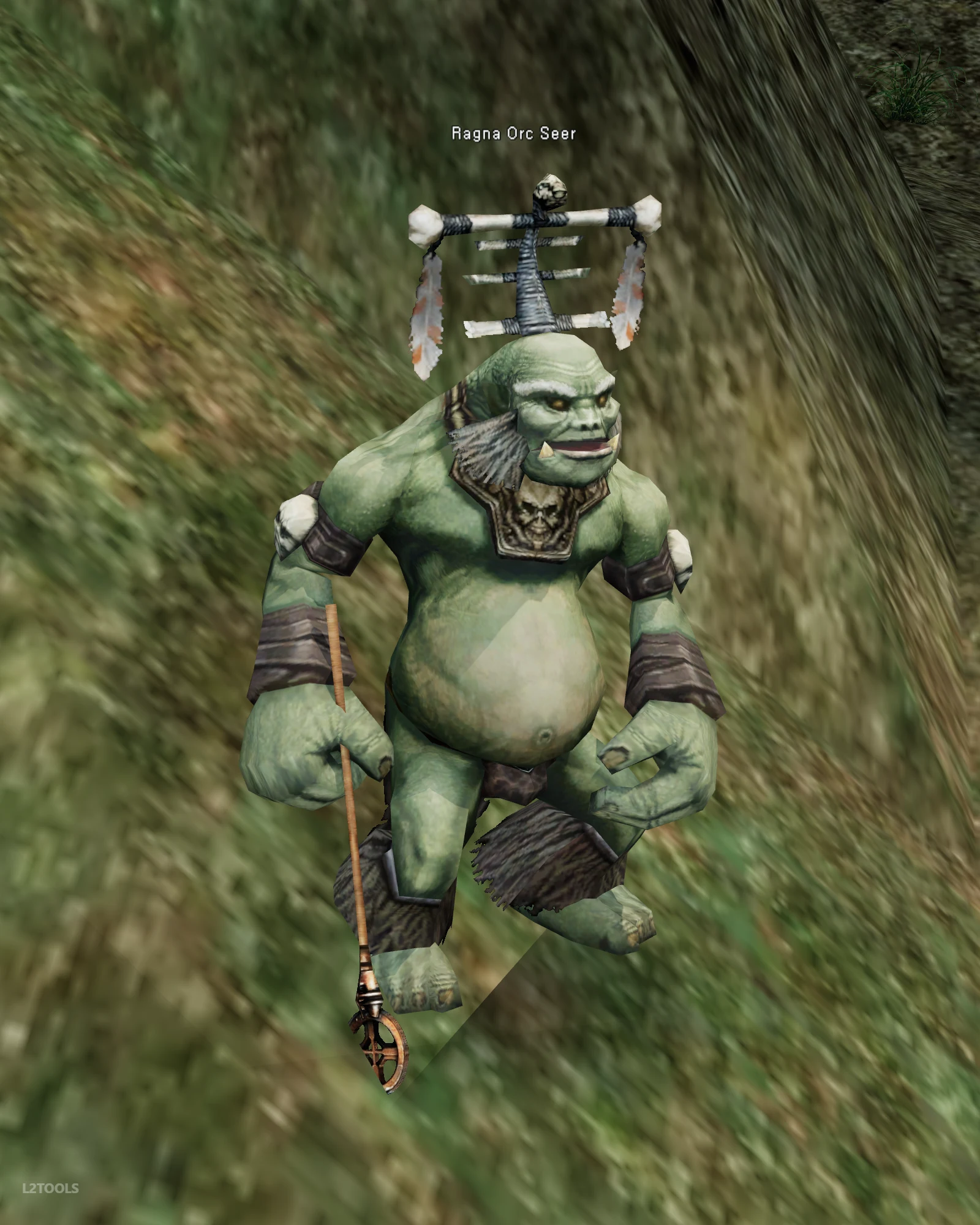 Ragna Orc Seer portrait