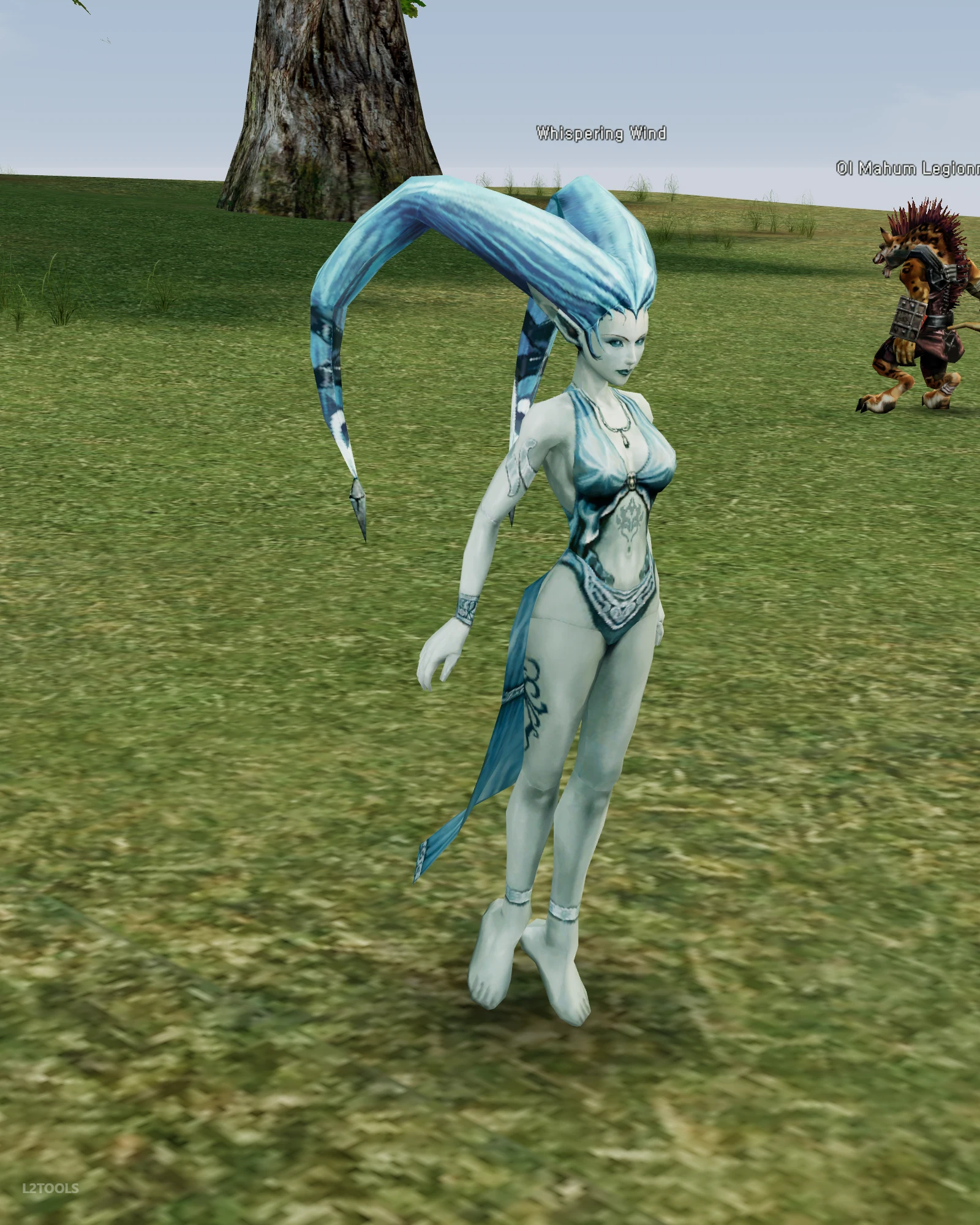 Whispering Wind portrait