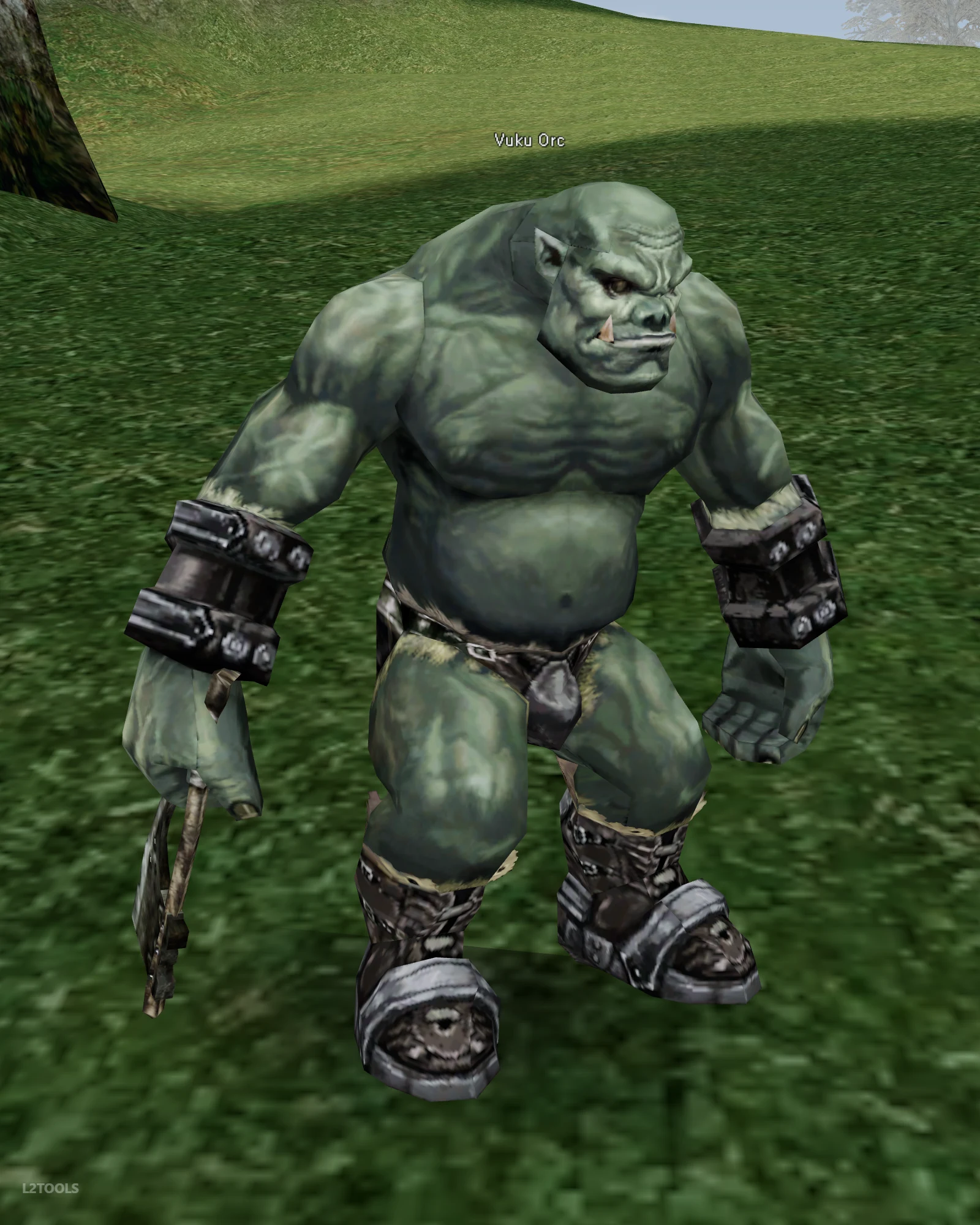Vuku Orc portrait