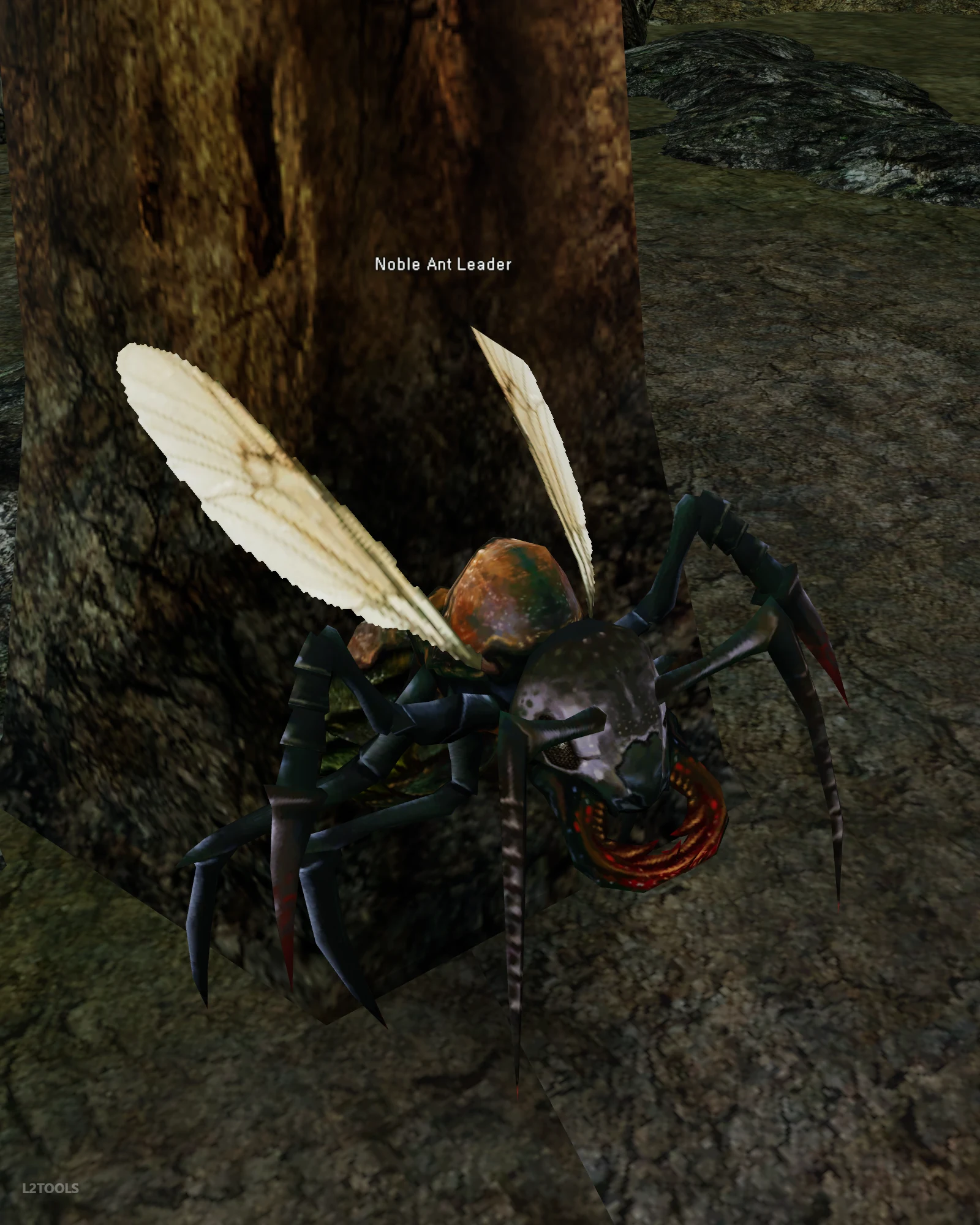 Noble Ant Leader portrait