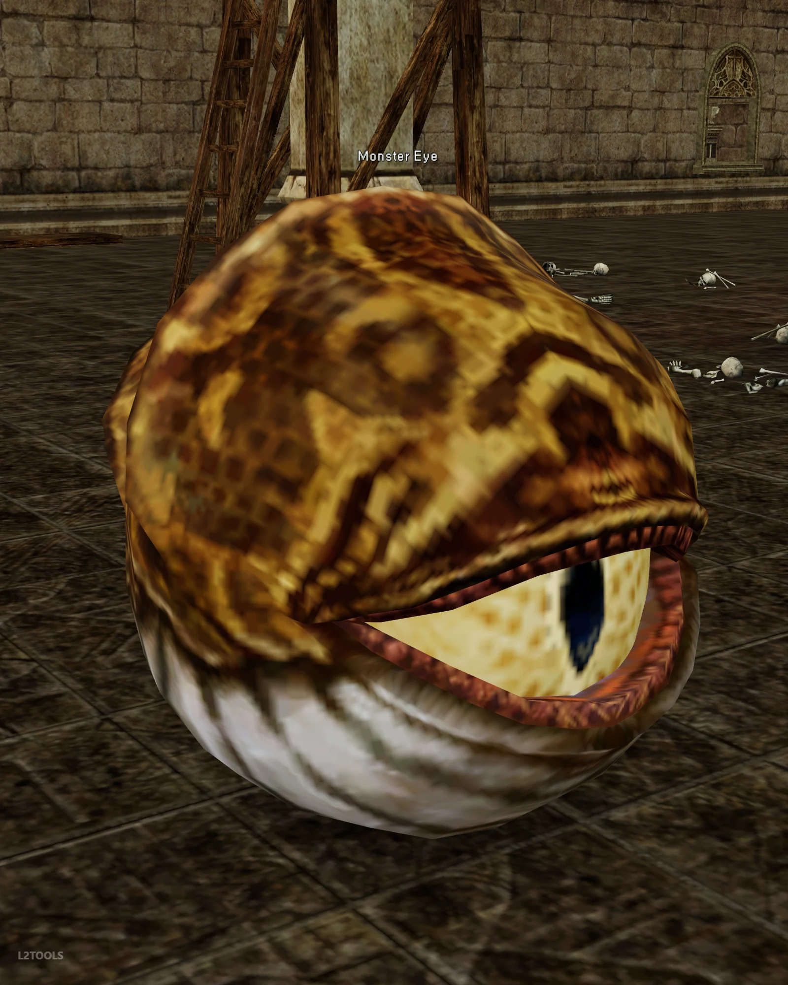 Monster Eye portrait