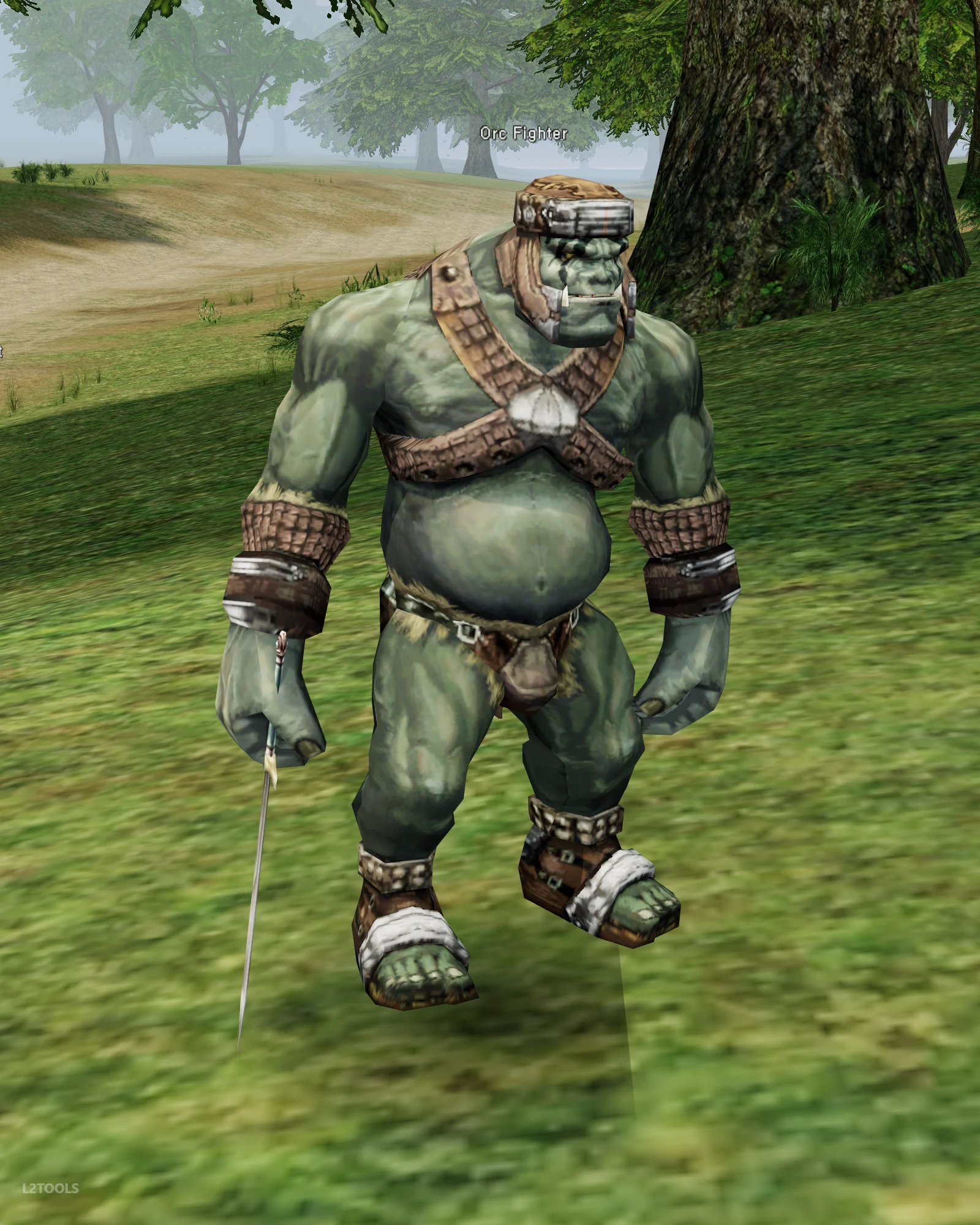 Orc Fighter portrait