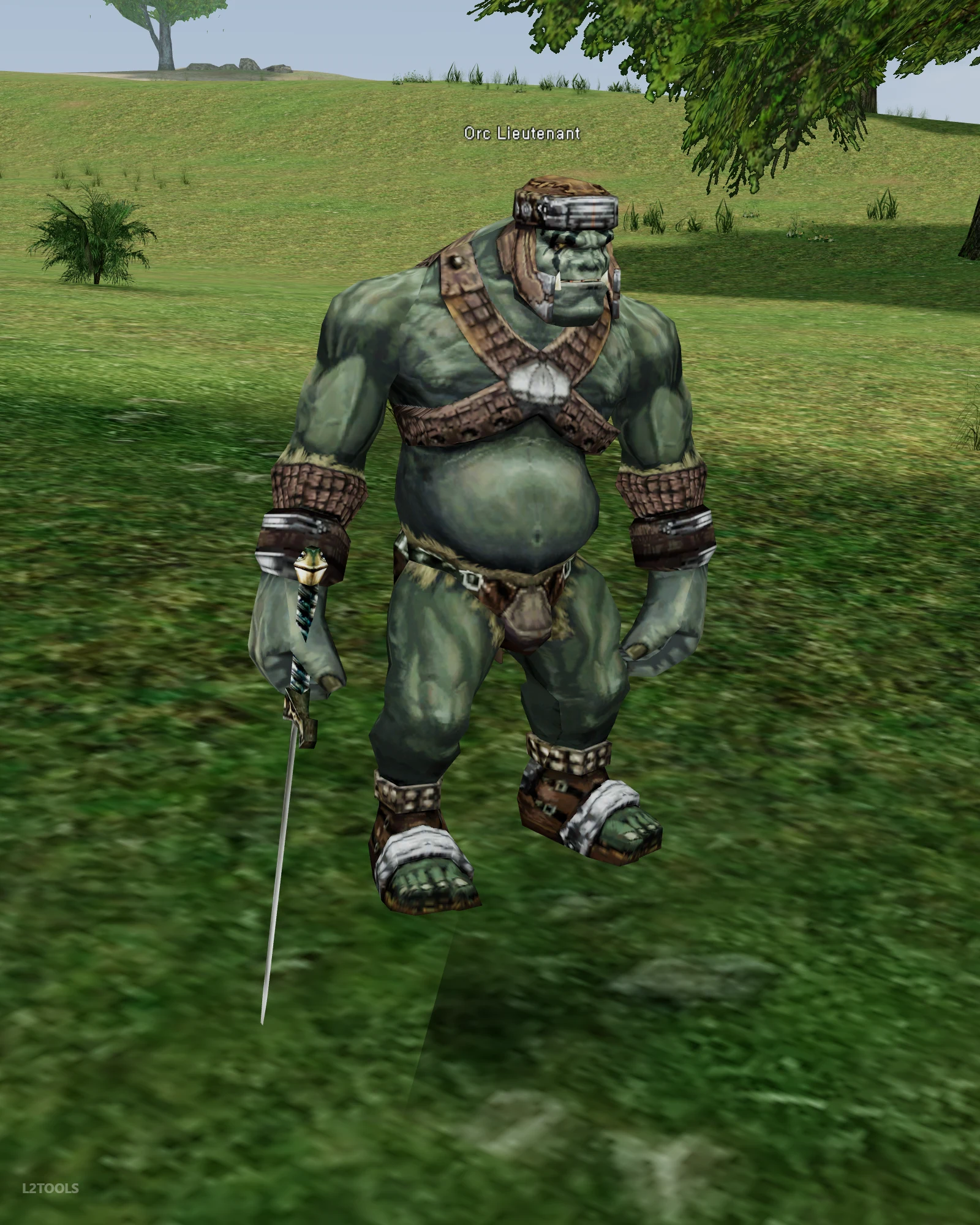 Orc Lieutenant portrait
