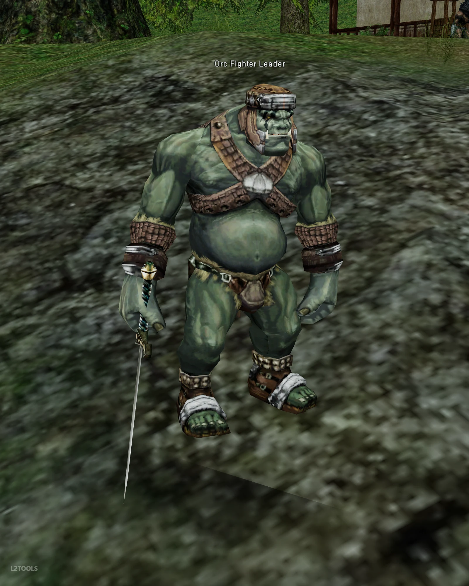 Orc Fighter Leader portrait
