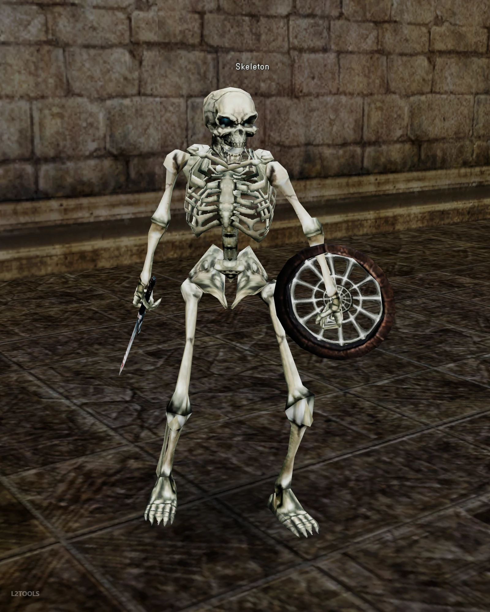 Skeleton portrait