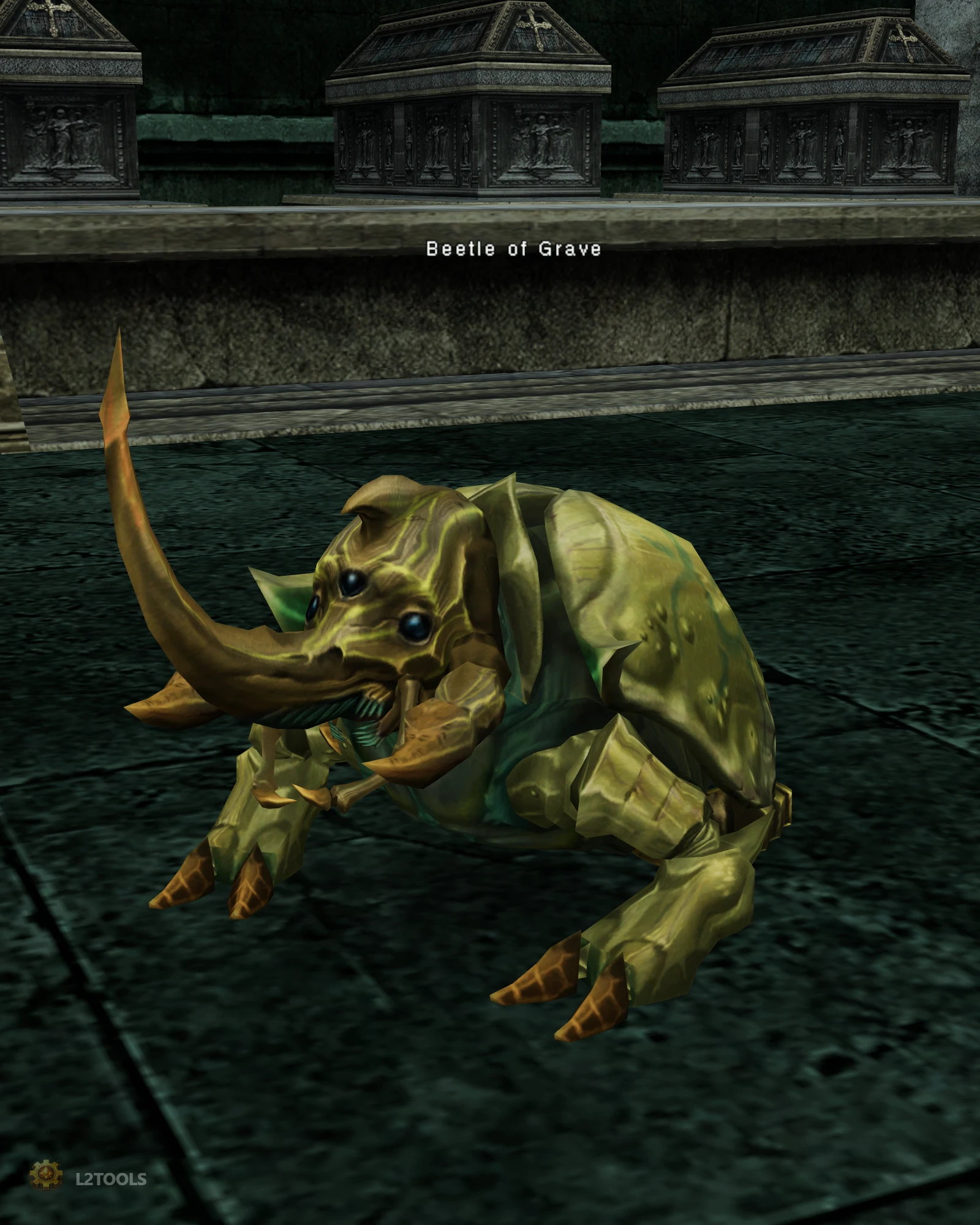 Beetle Of Grave portrait