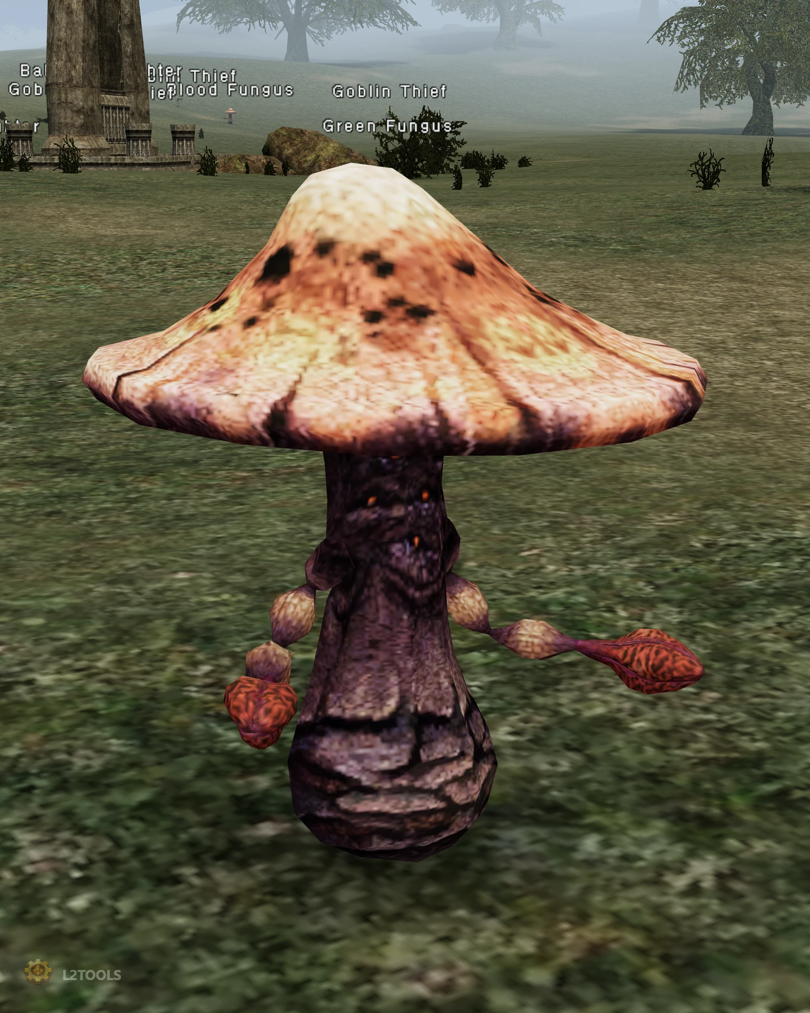 Green Fungus portrait