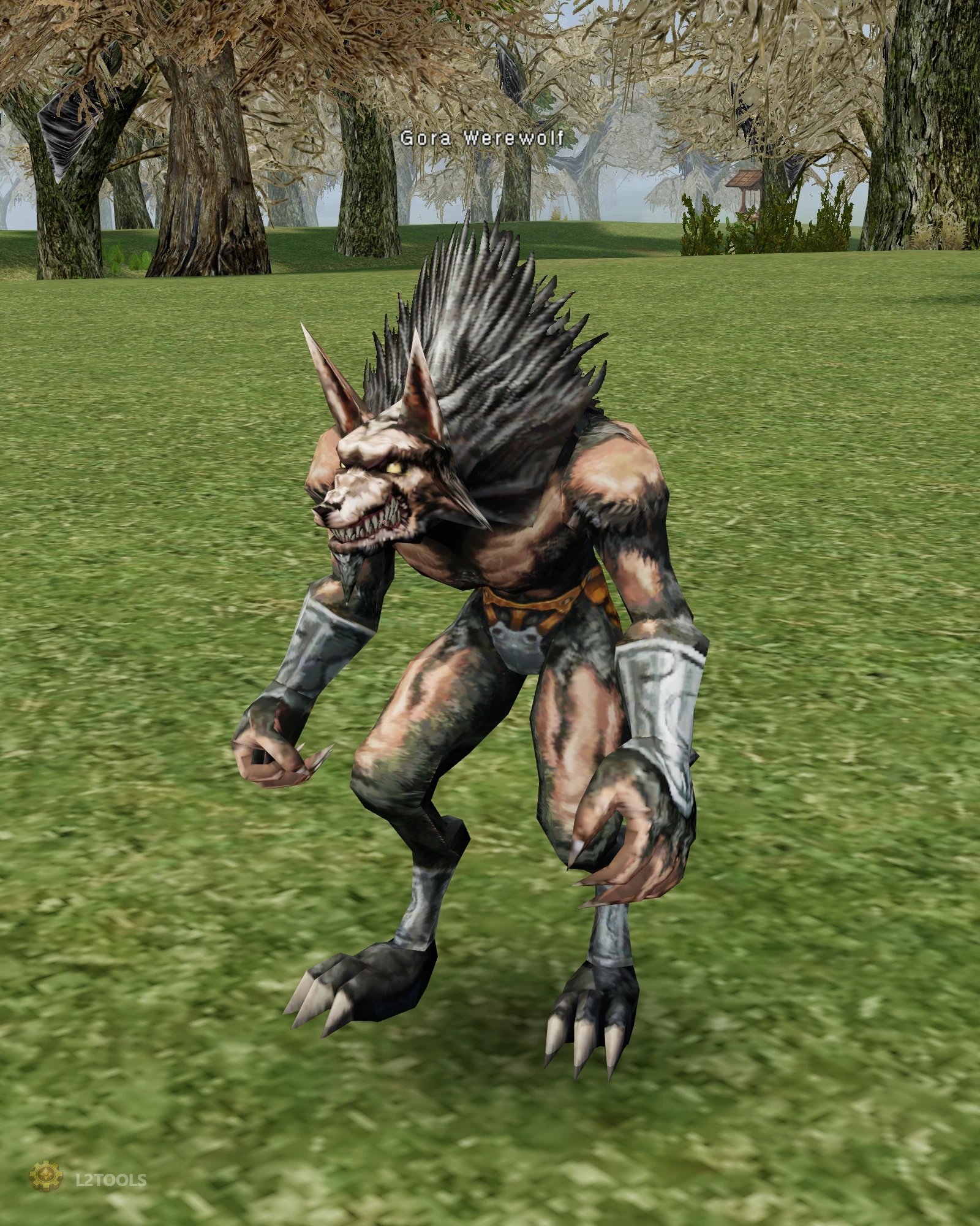 Gora Werewolf portrait