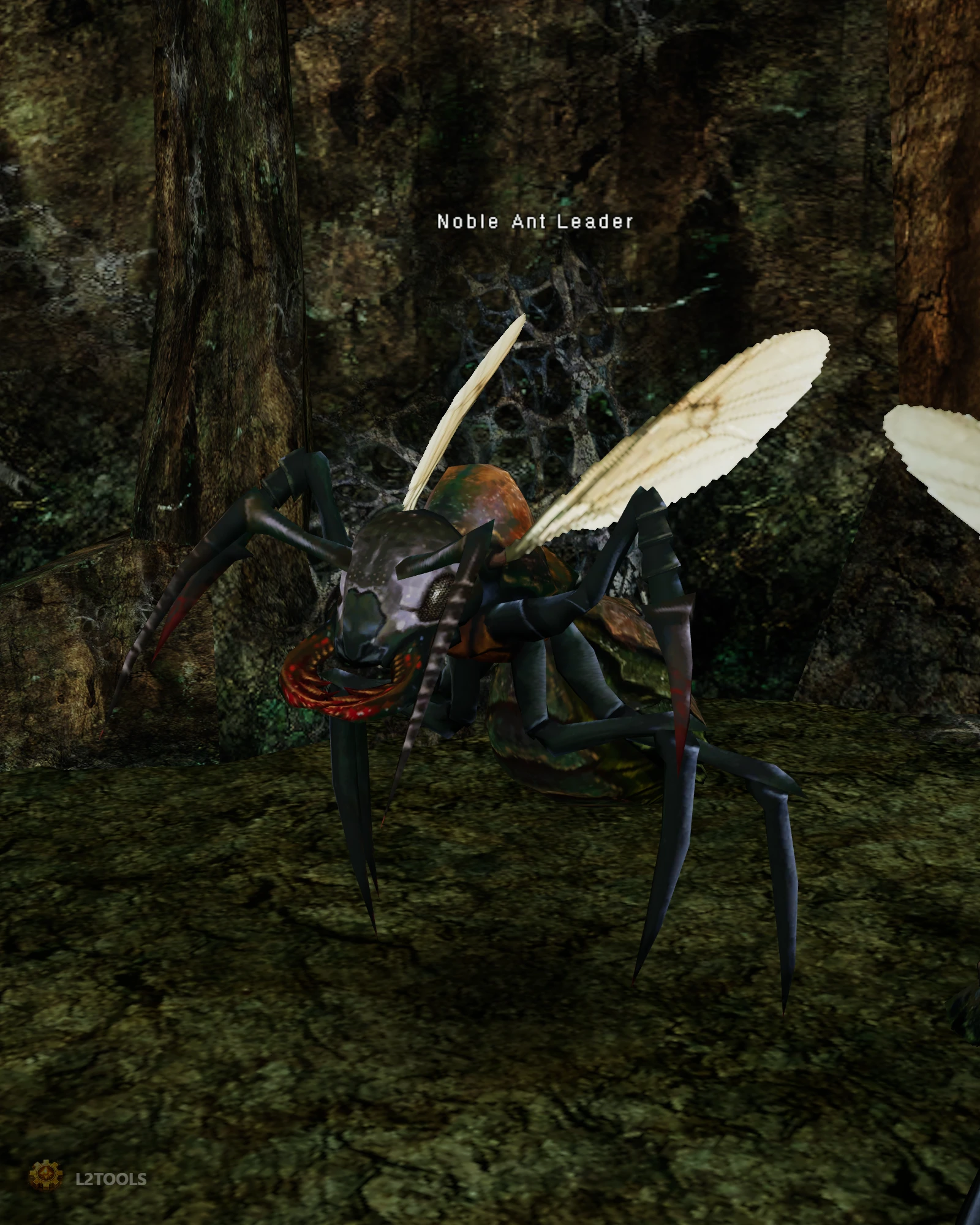 Noble Ant Leader portrait