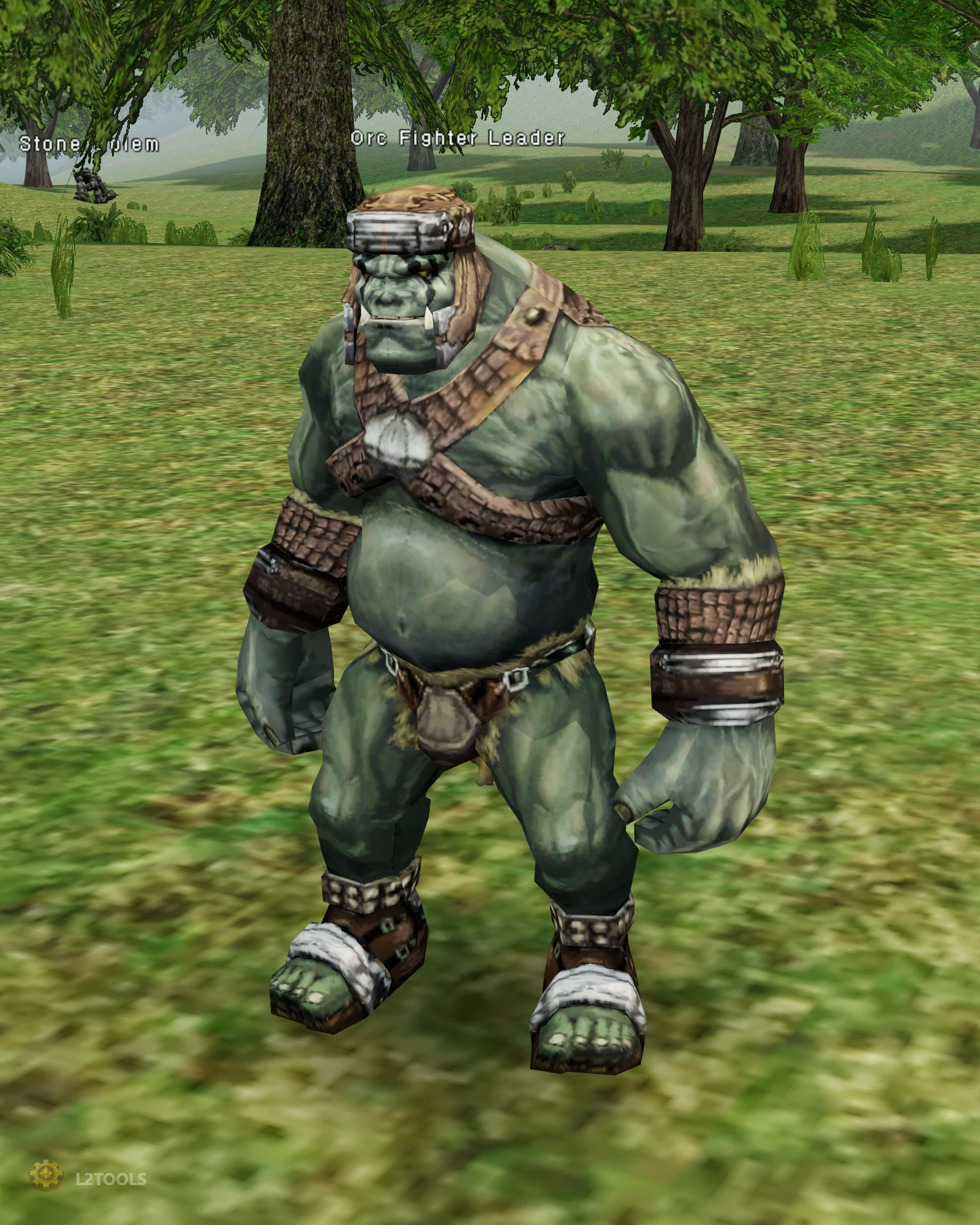 Orc Fighter Leader portrait
