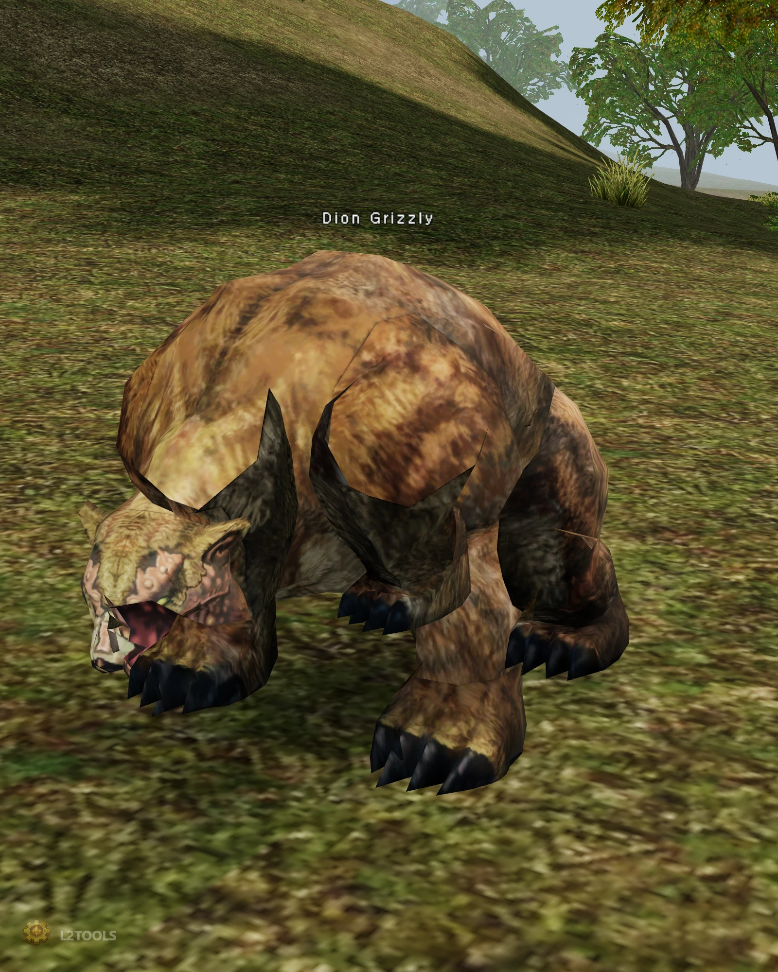 Dion Grizzly portrait