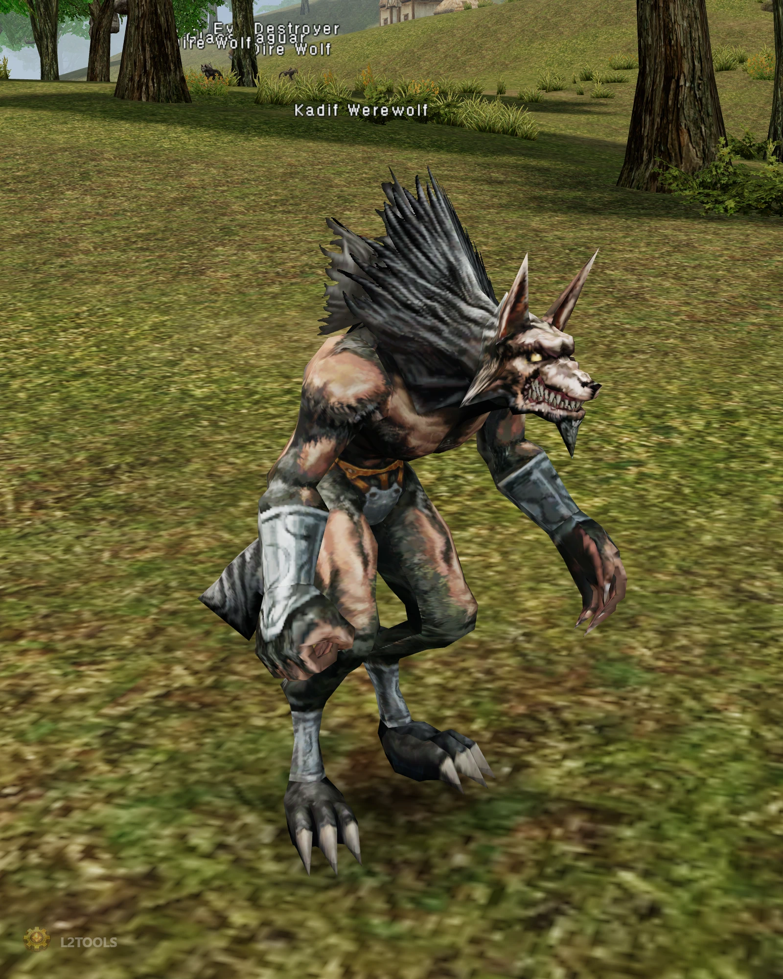 Kadif Werewolf portrait