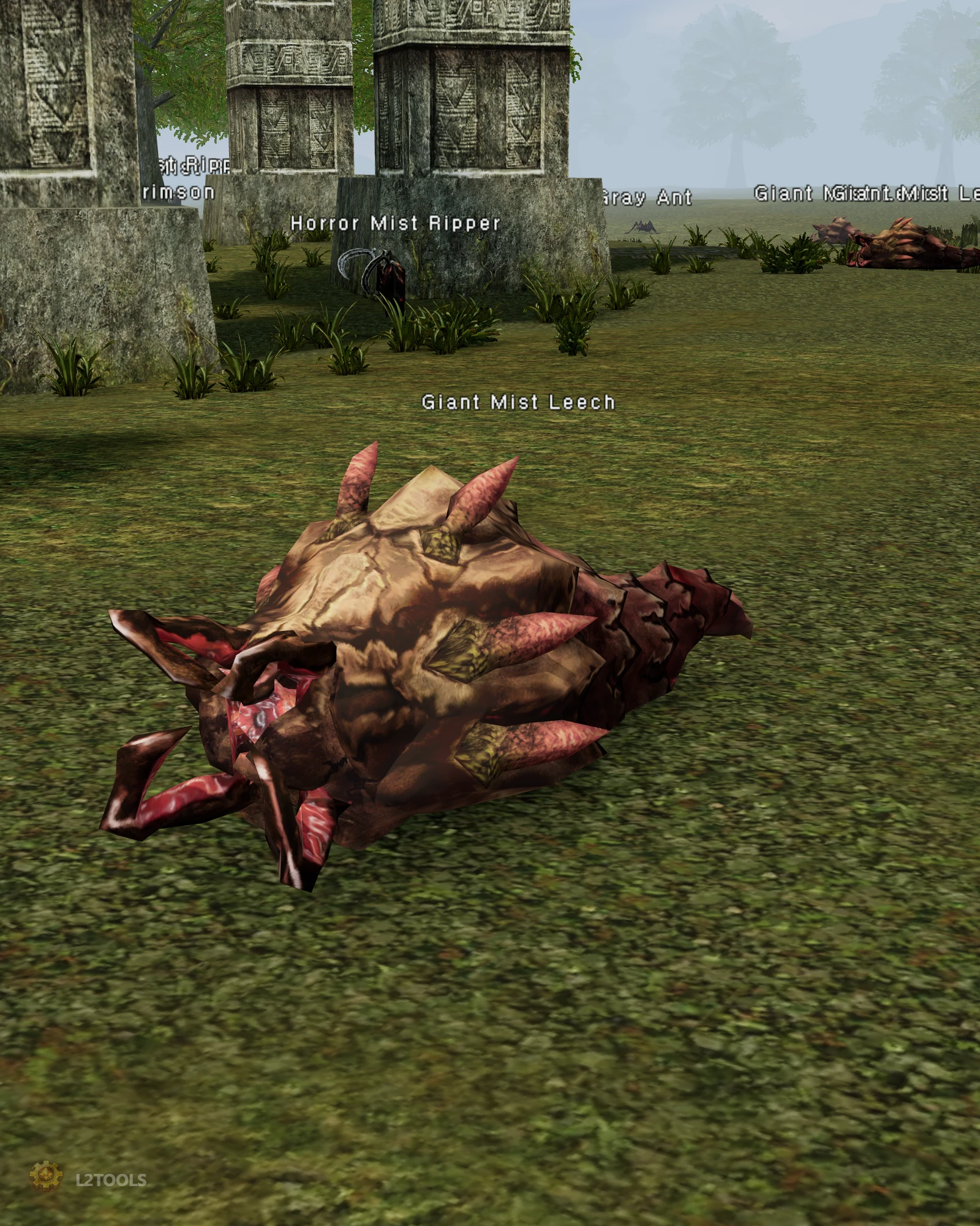 Giant Mist Leech portrait