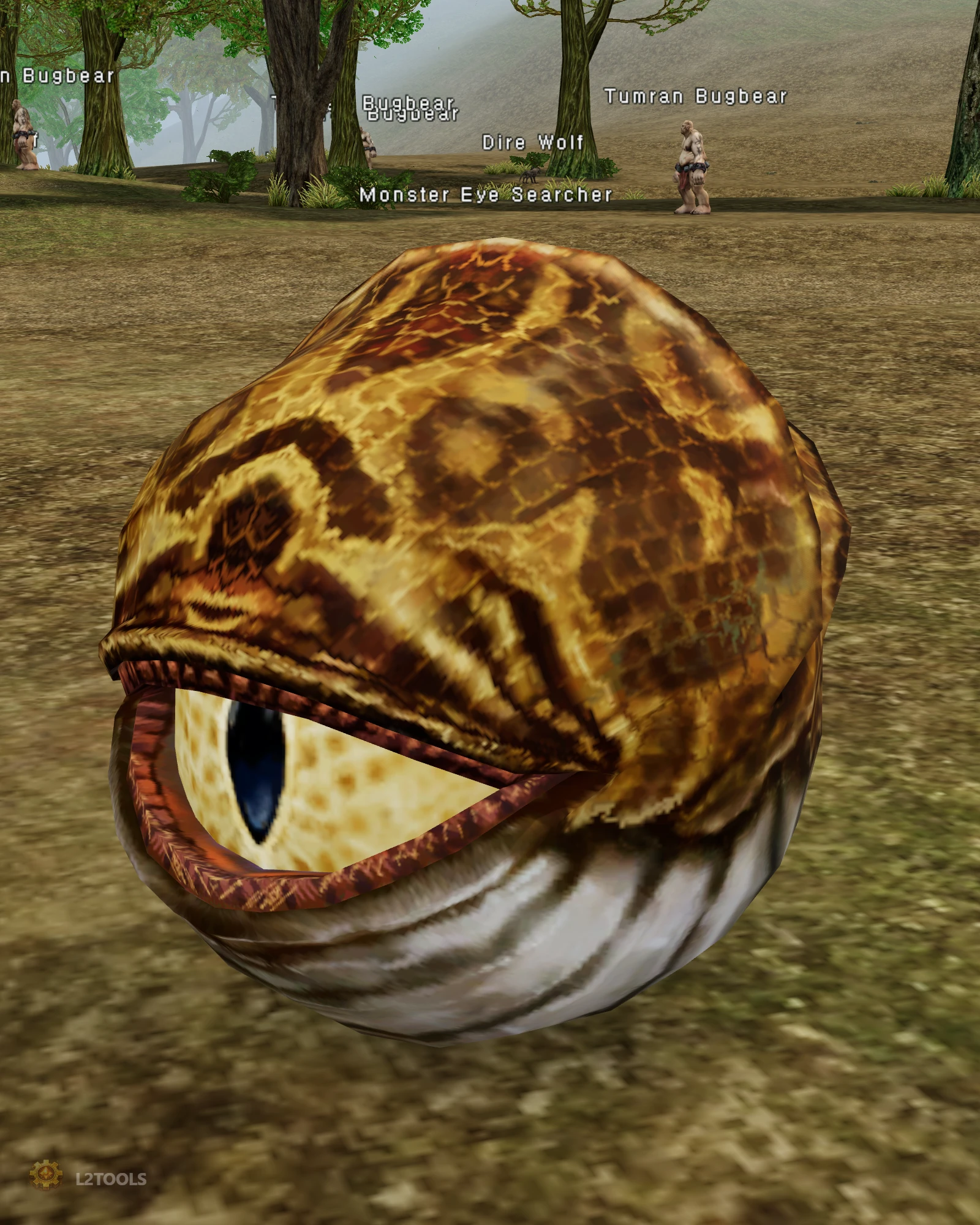 Monster Eye Searcher portrait
