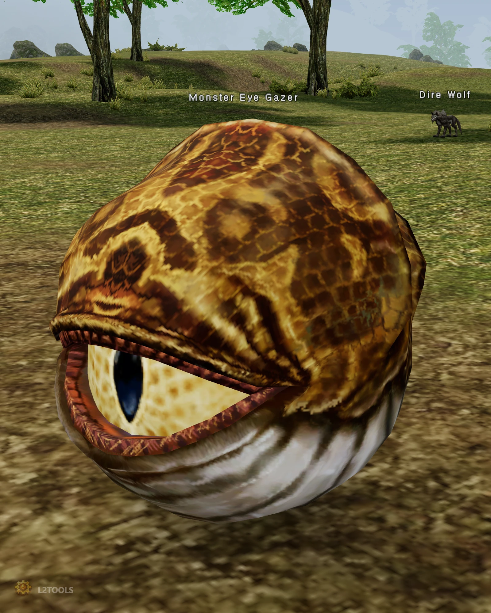 Monster Eye Gazer portrait