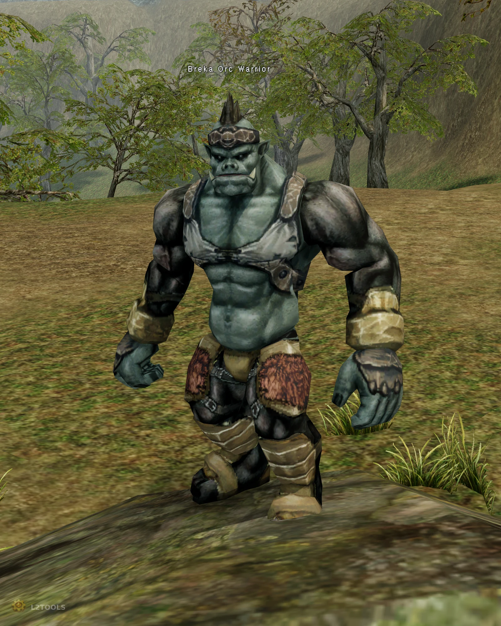 Breka Orc Warrior portrait