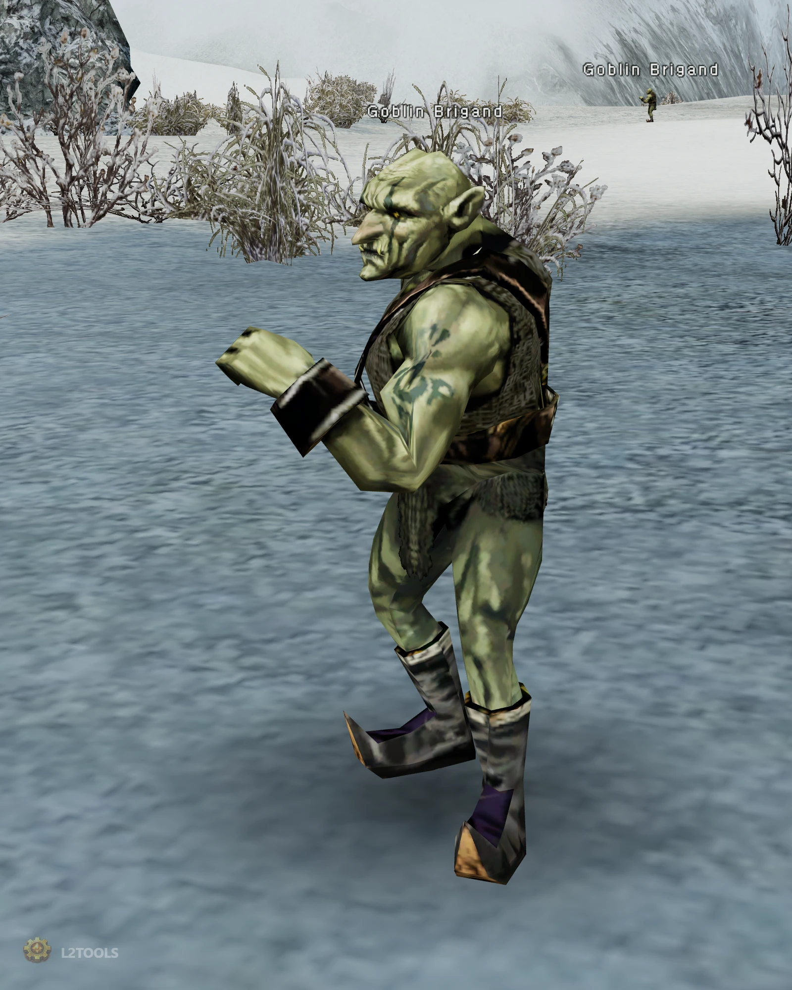Goblin Brigand portrait
