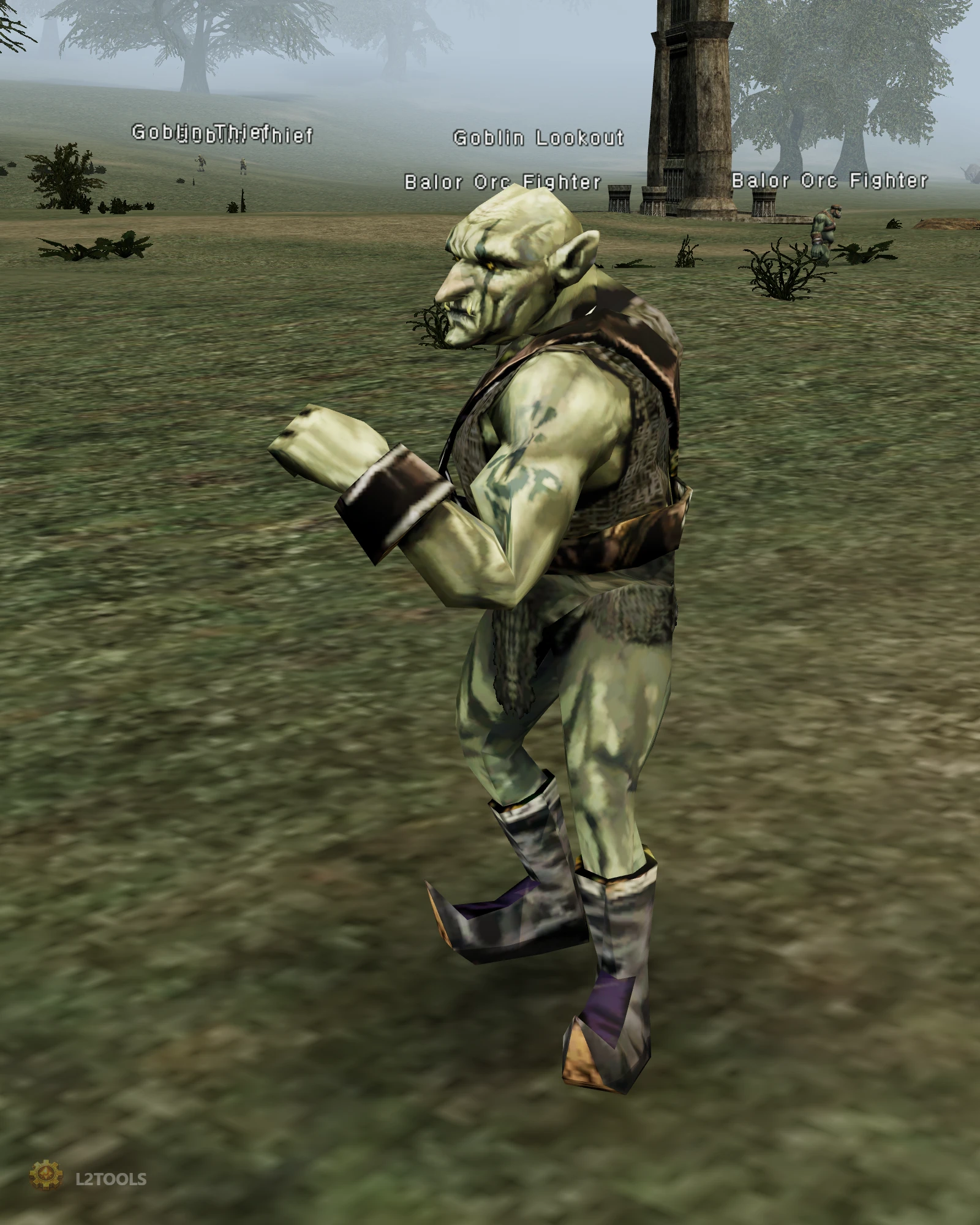 Goblin Lookout portrait