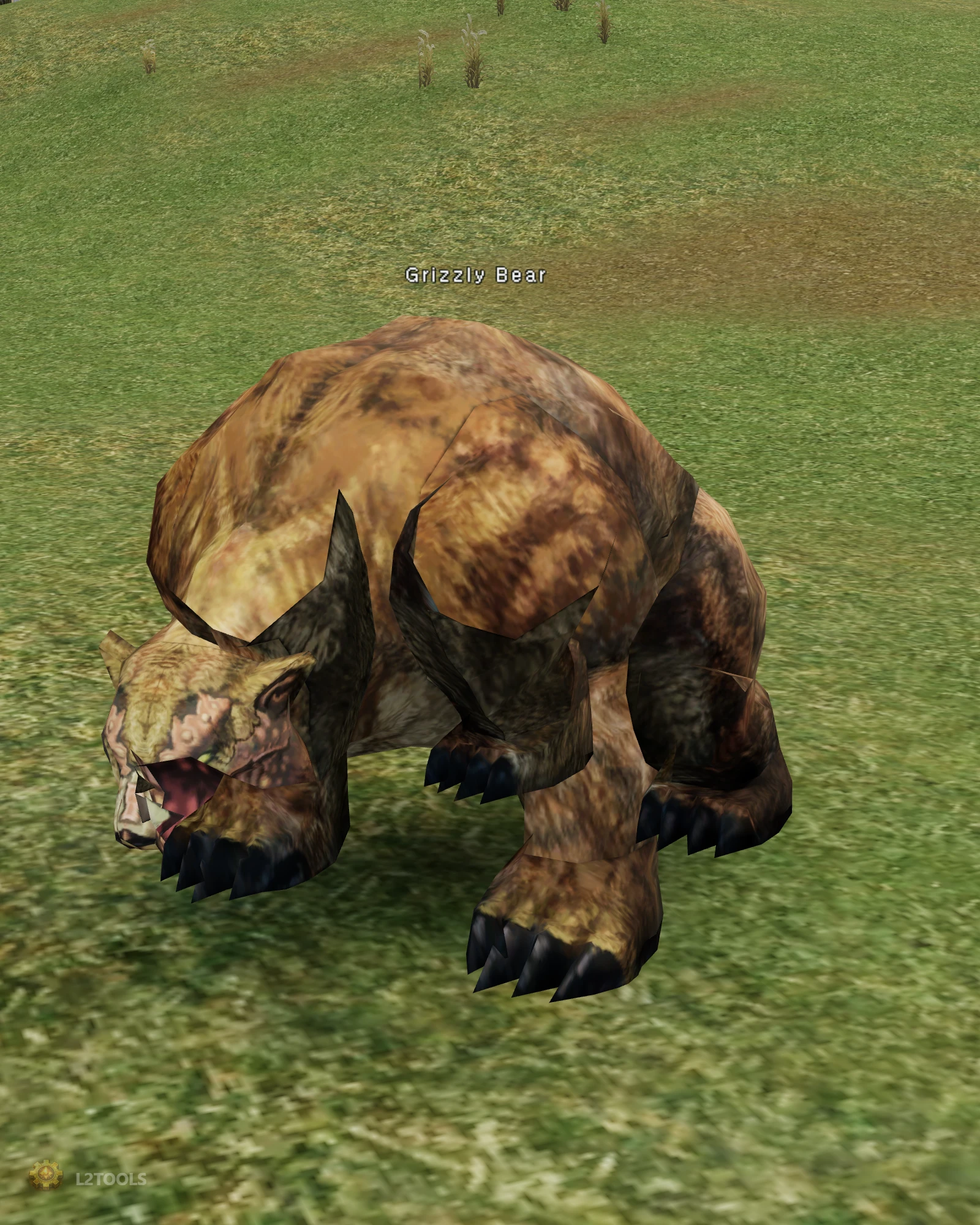 Grizzly Bear portrait