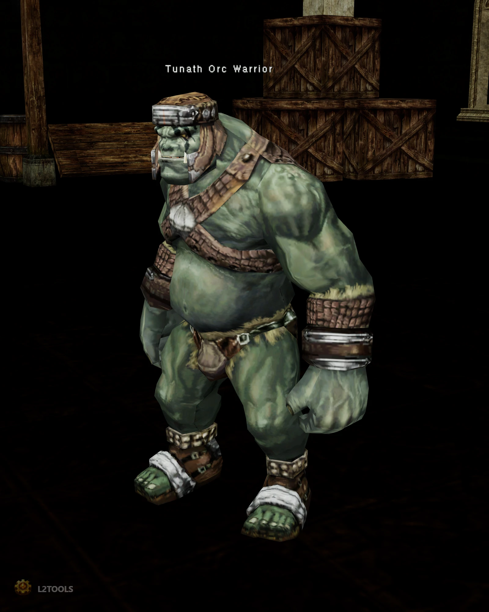 Tunath Orc Warrior portrait
