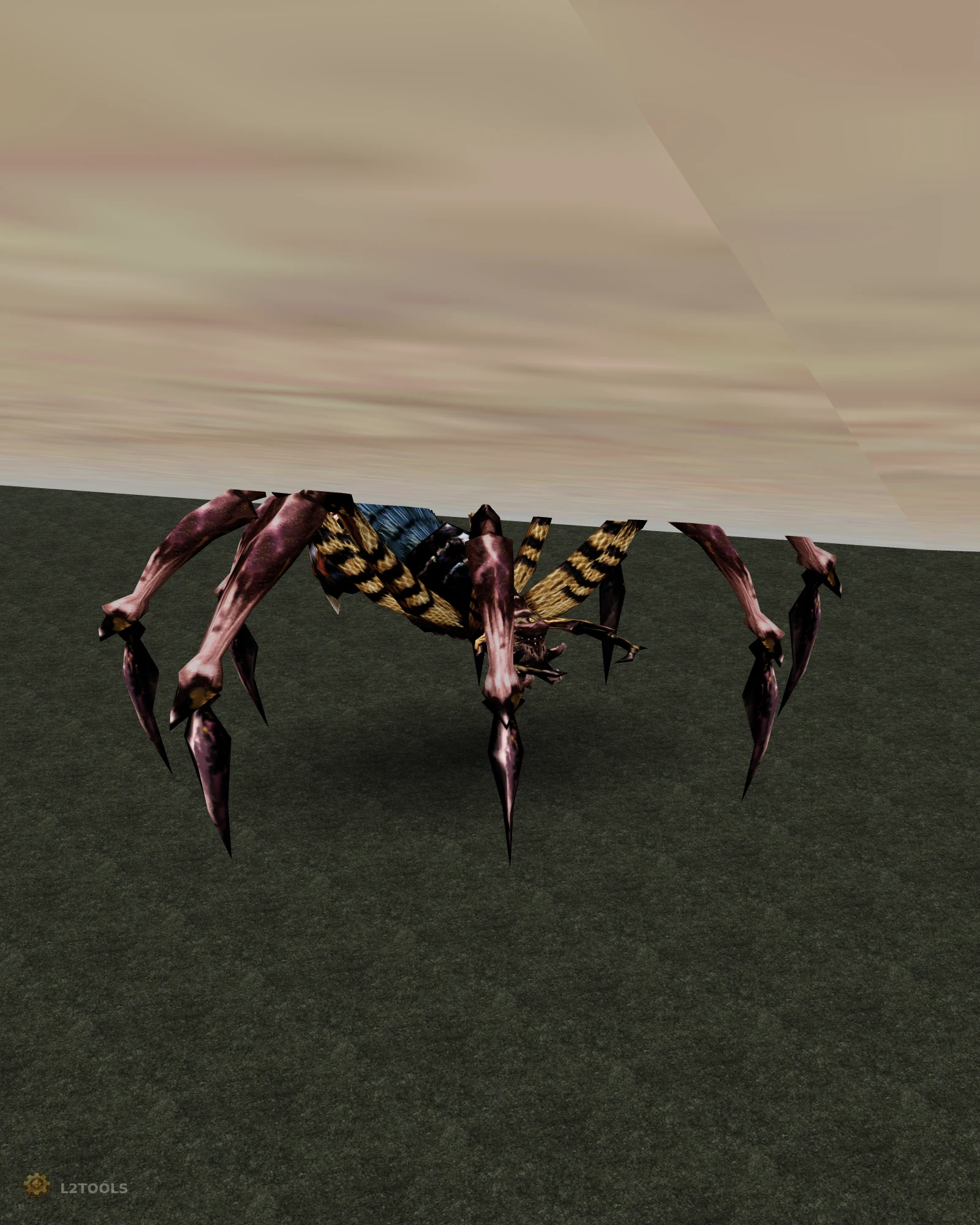 Crimson Tarantula portrait
