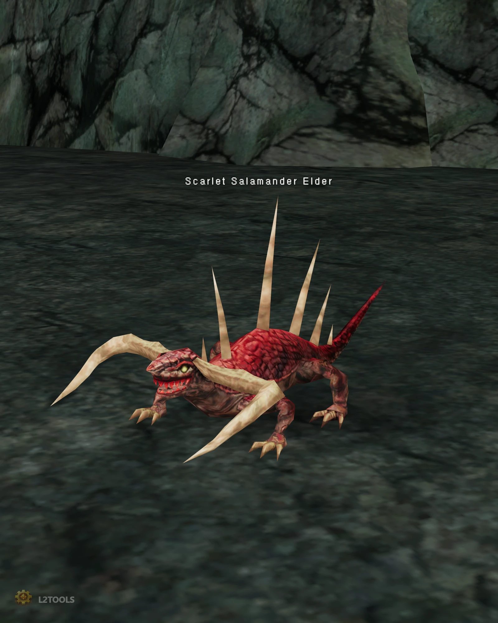 Scarlet Salamander Elder portrait