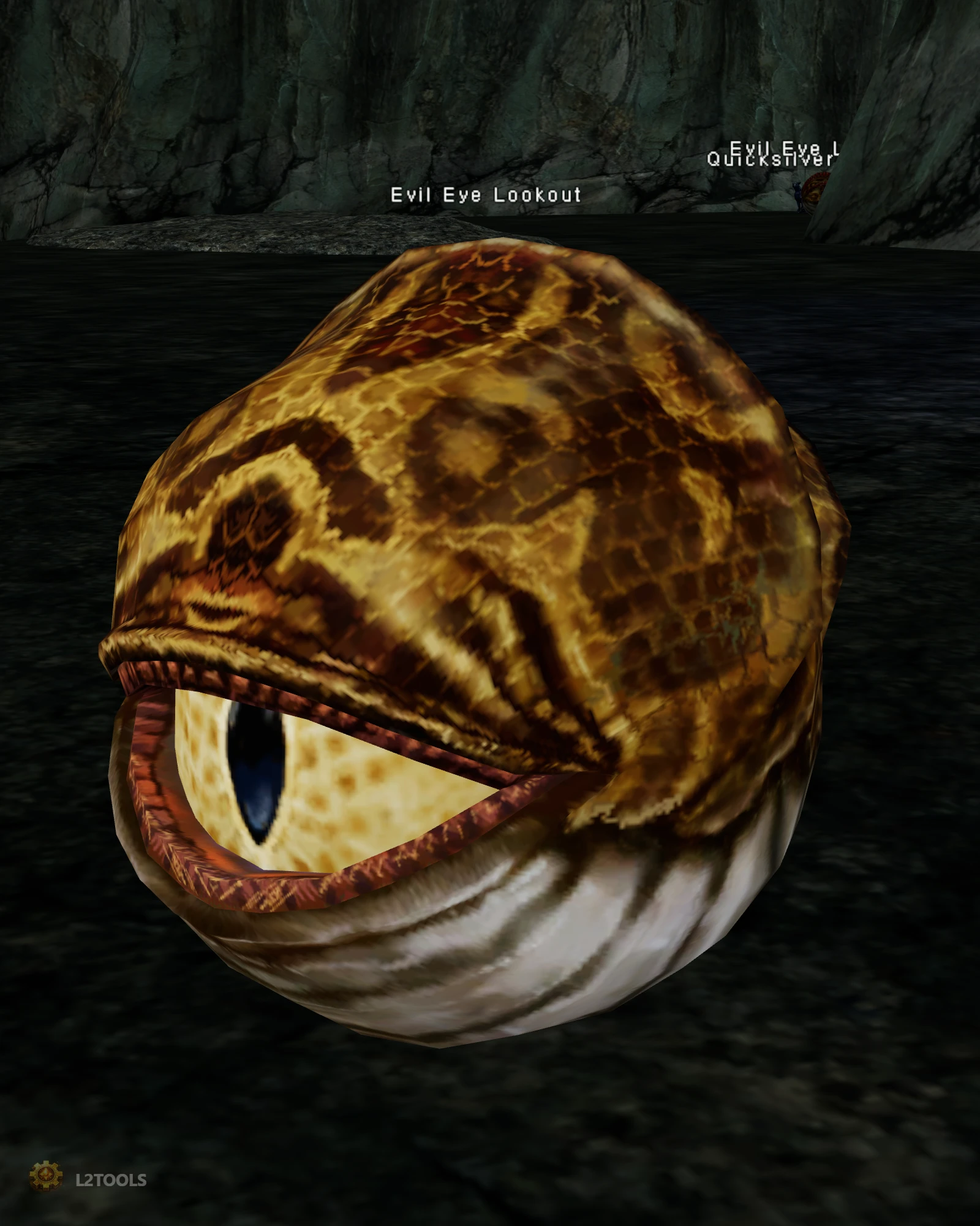 Evil Eye Lookout portrait
