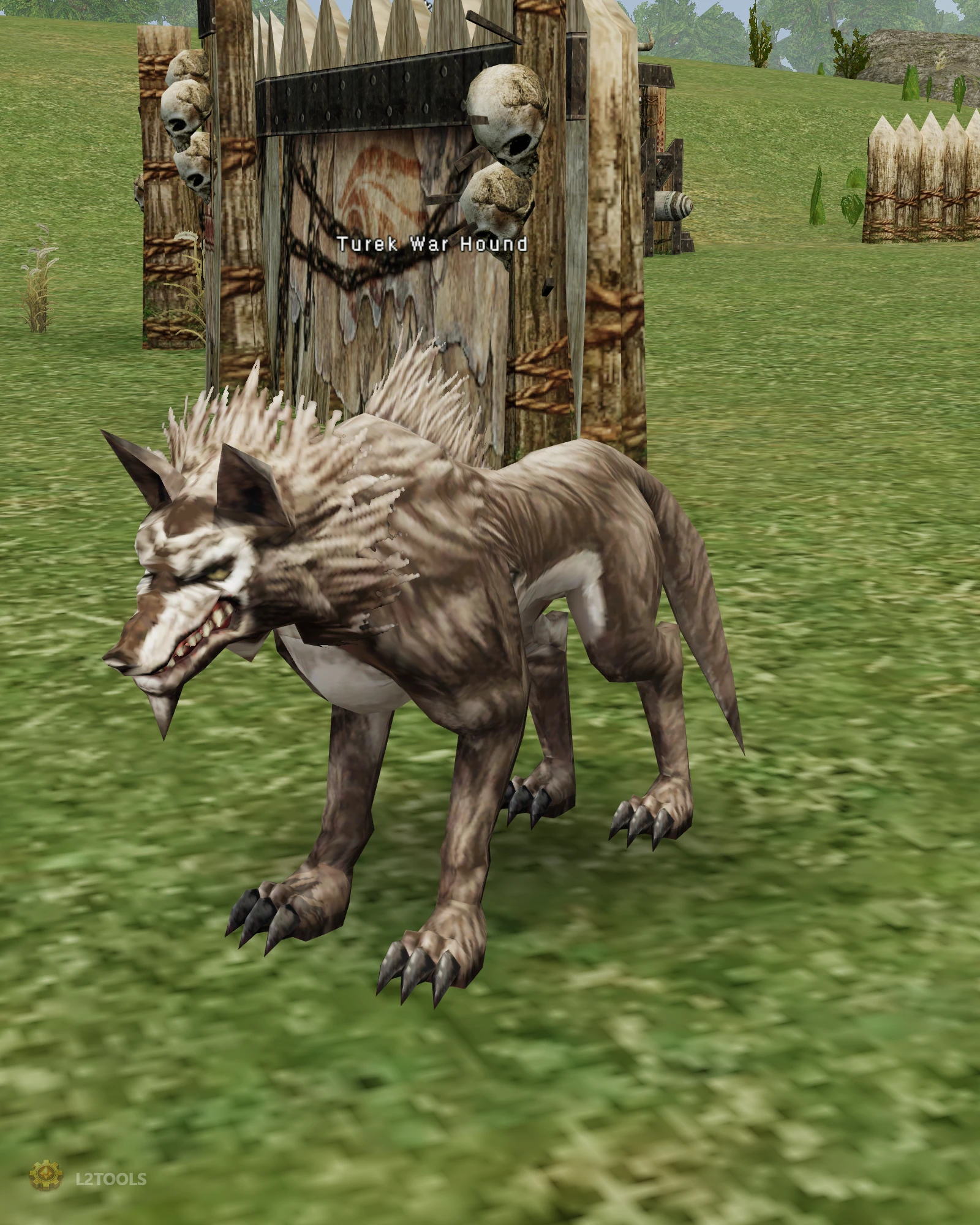 Turek War Hound portrait