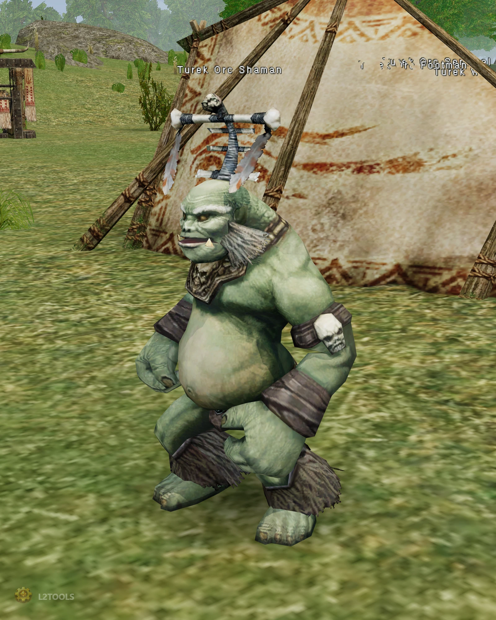 Turek Orc Shaman portrait