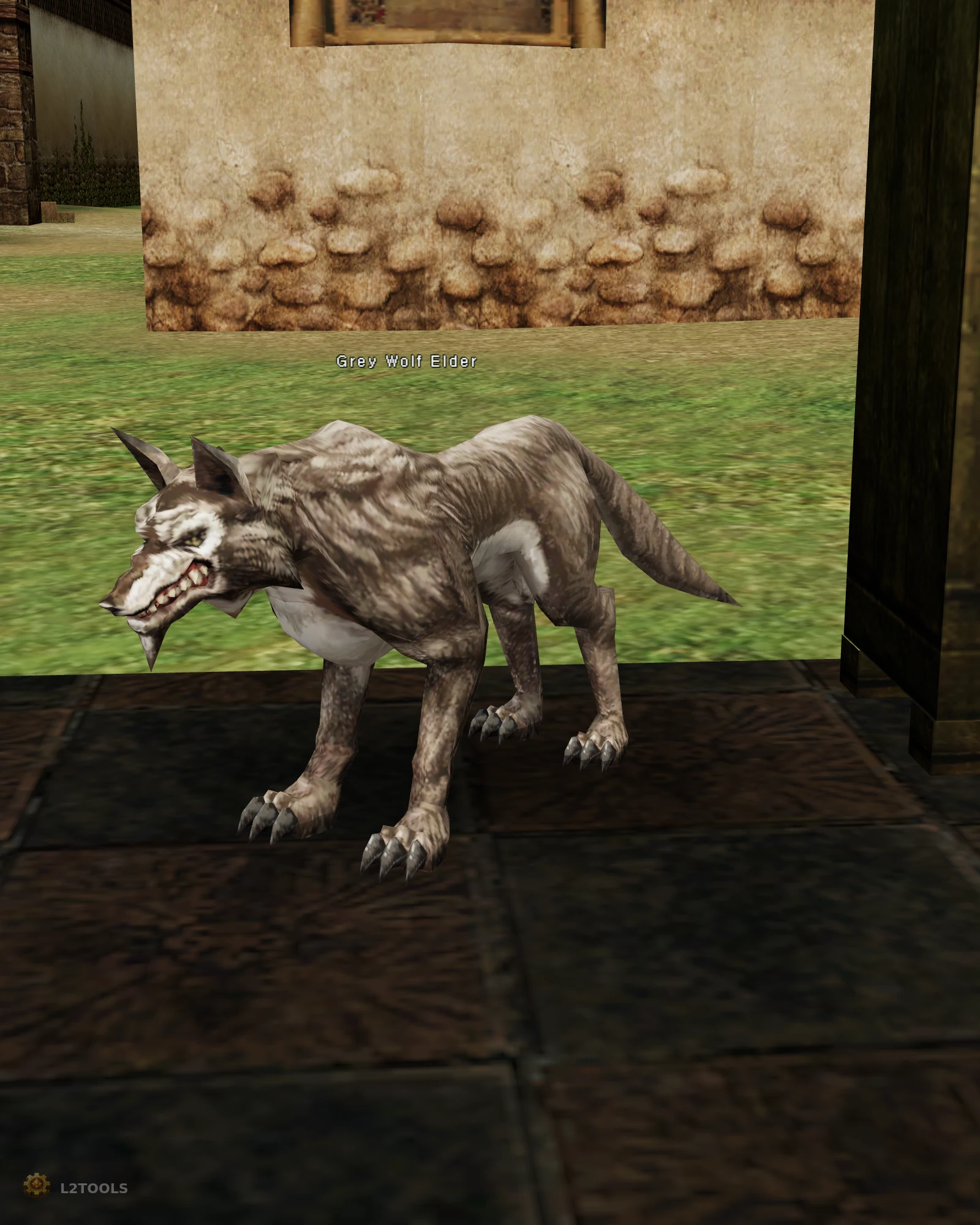Grey Wolf Elder portrait