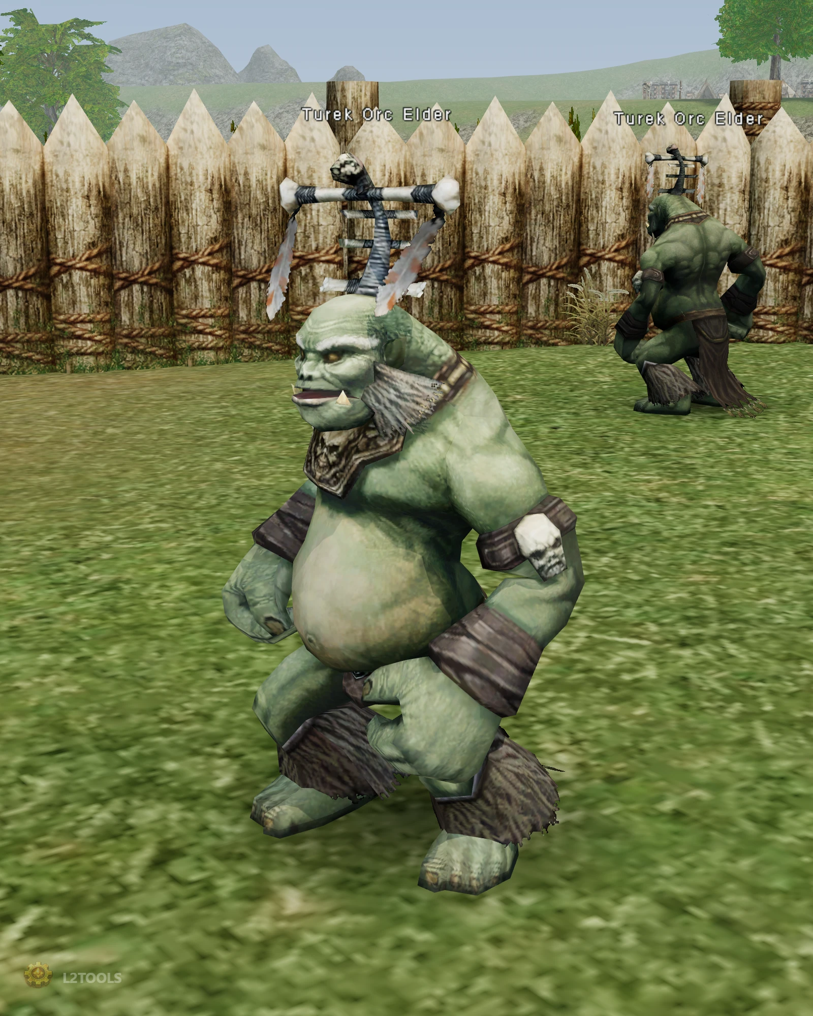 Turek Orc Elder portrait