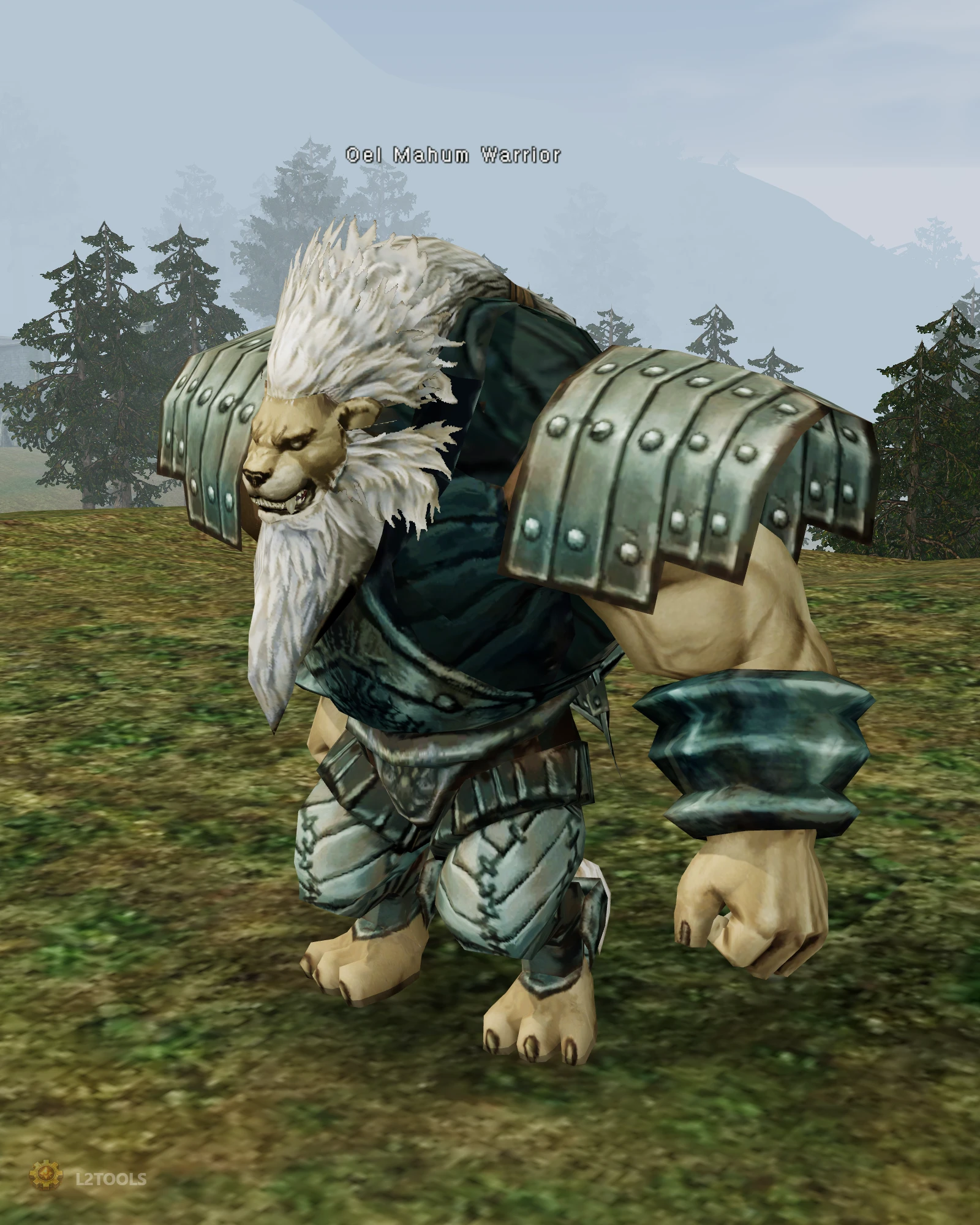 Oel Mahum Warrior portrait
