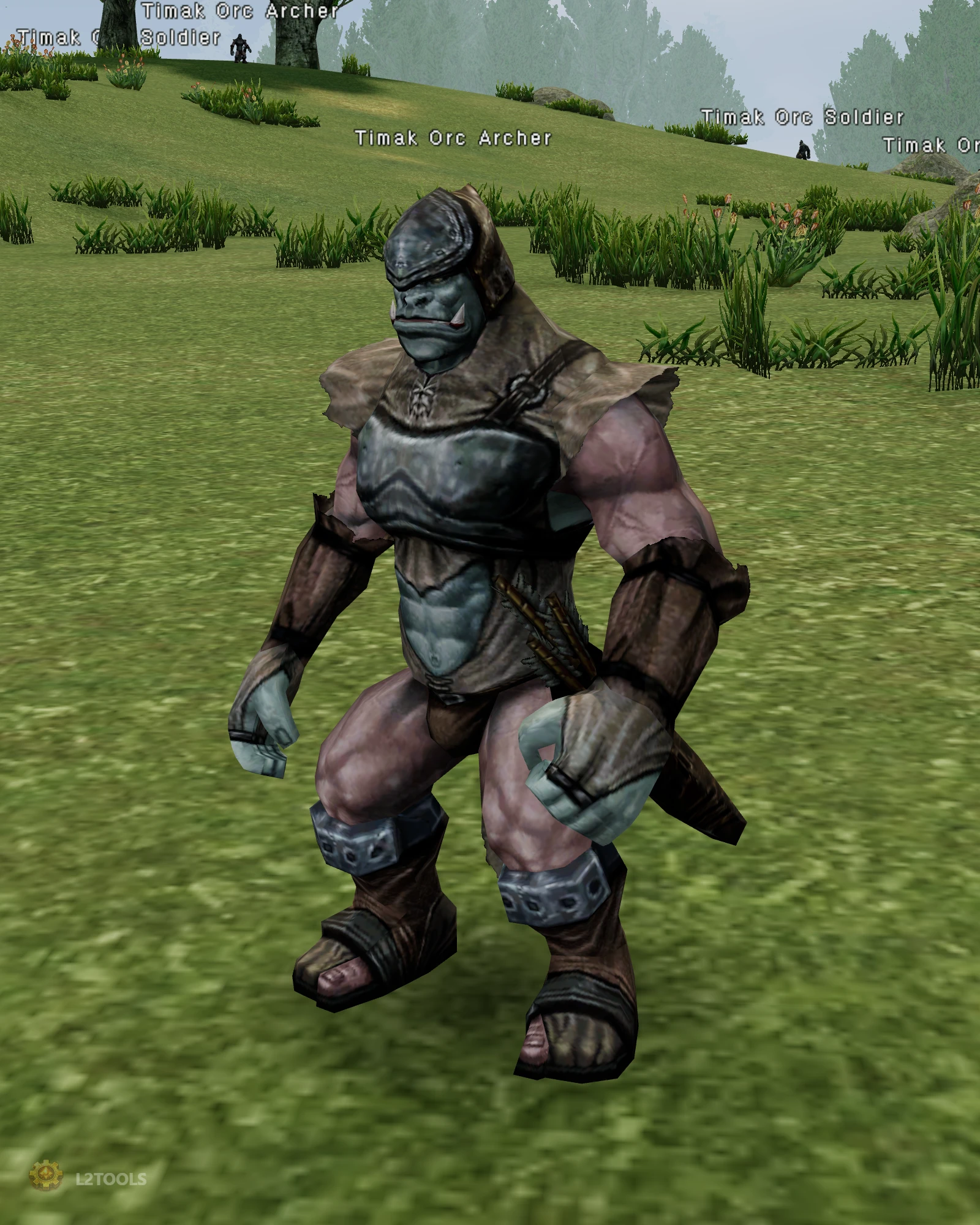 Timak Orc Archer portrait