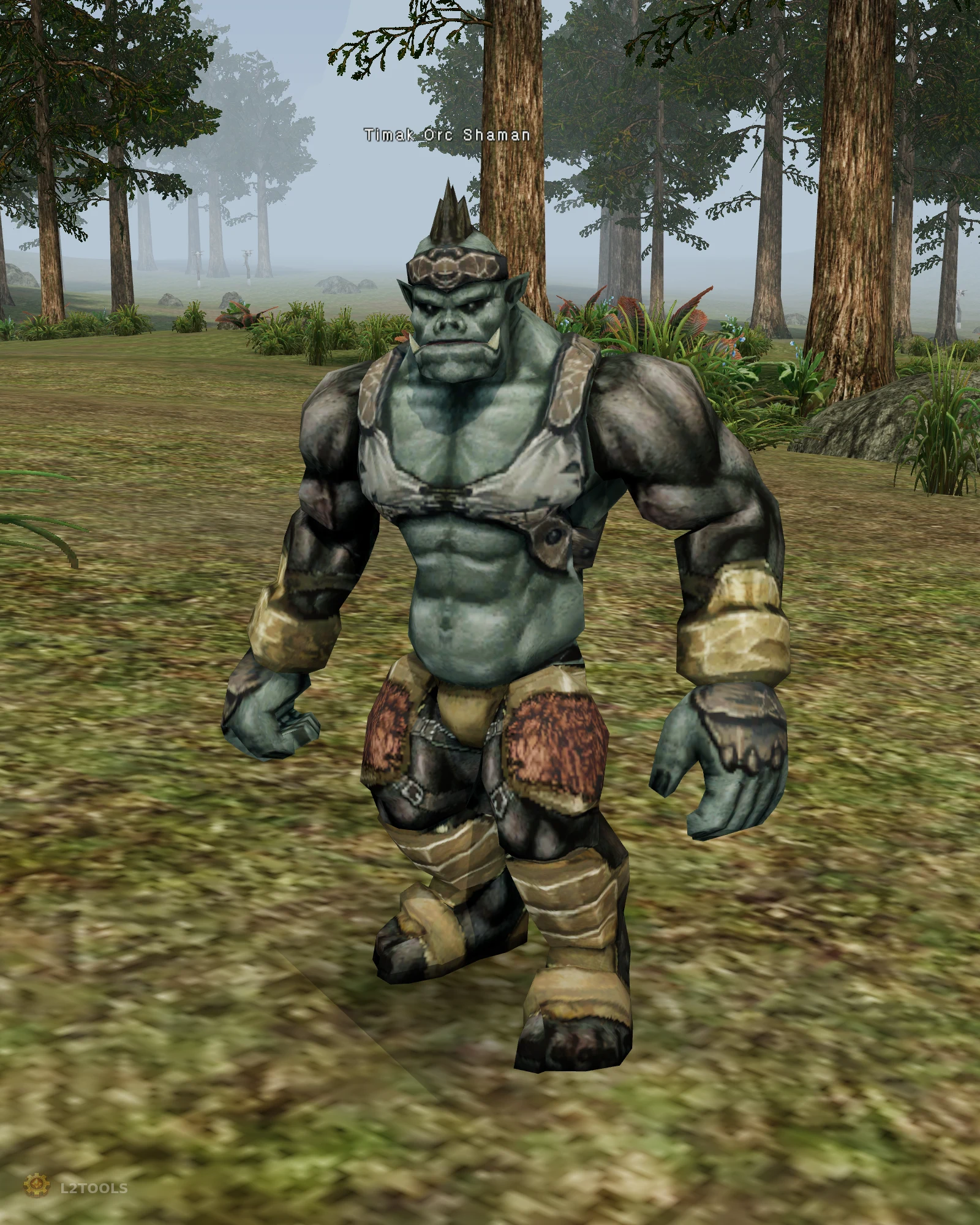 Timak Orc Shaman portrait
