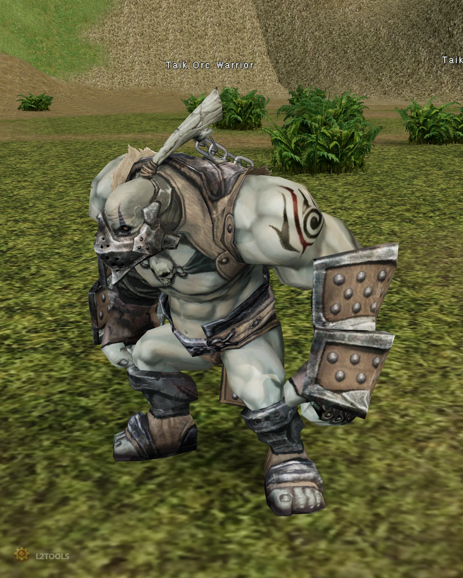 Taik Orc Warrior portrait