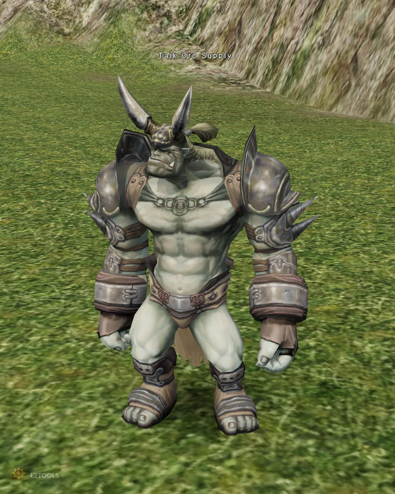 Taik Orc Supply portrait
