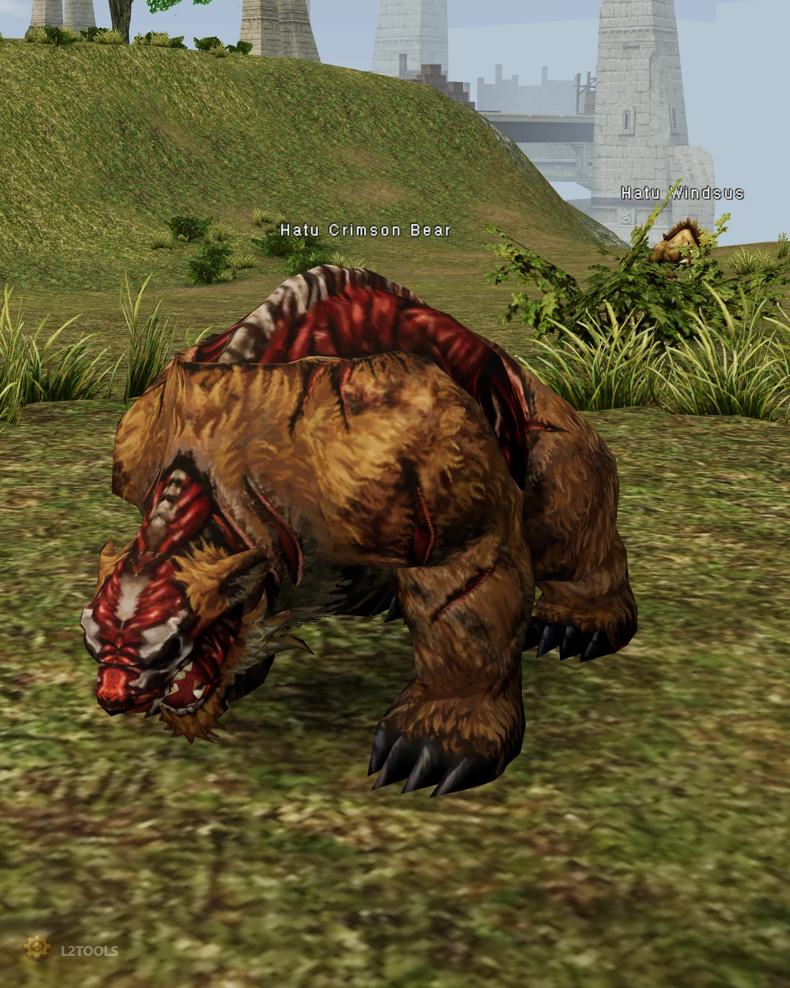 Hatu Crimson Bear portrait