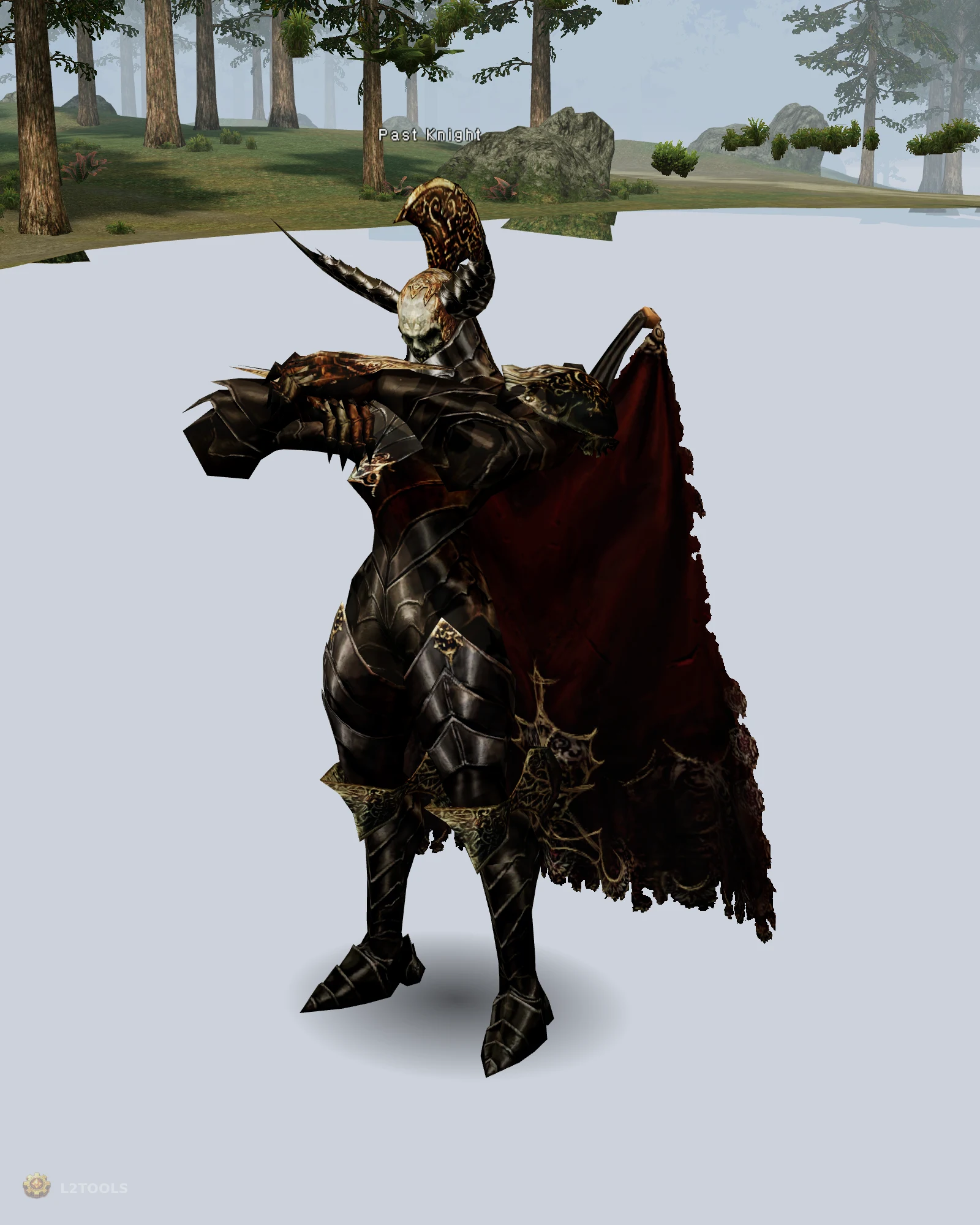 Past Knight portrait